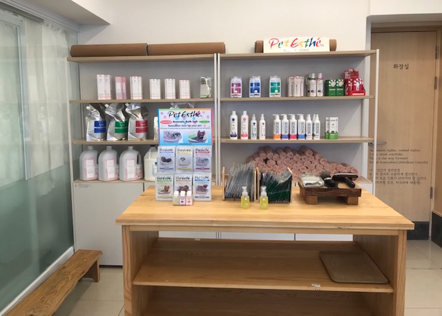 애니네 반려견 미용실 대표 이미지