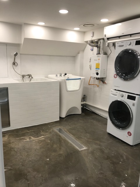 애니네 반려견 미용실 대표 이미지