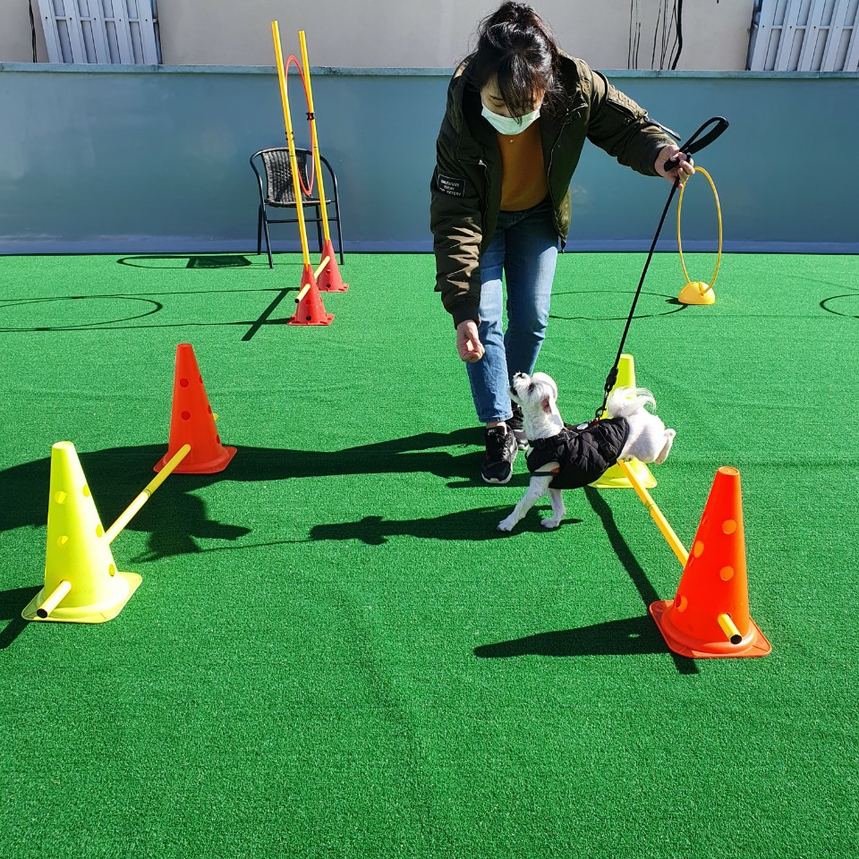 포롱도그 대표 이미지