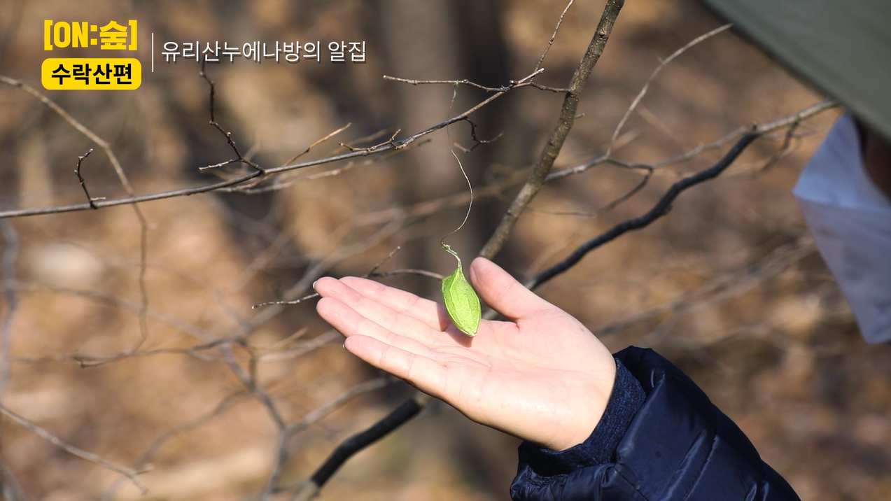 숲노리누리협동조합