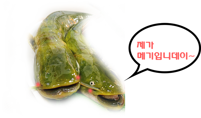 통큰메기생선국수