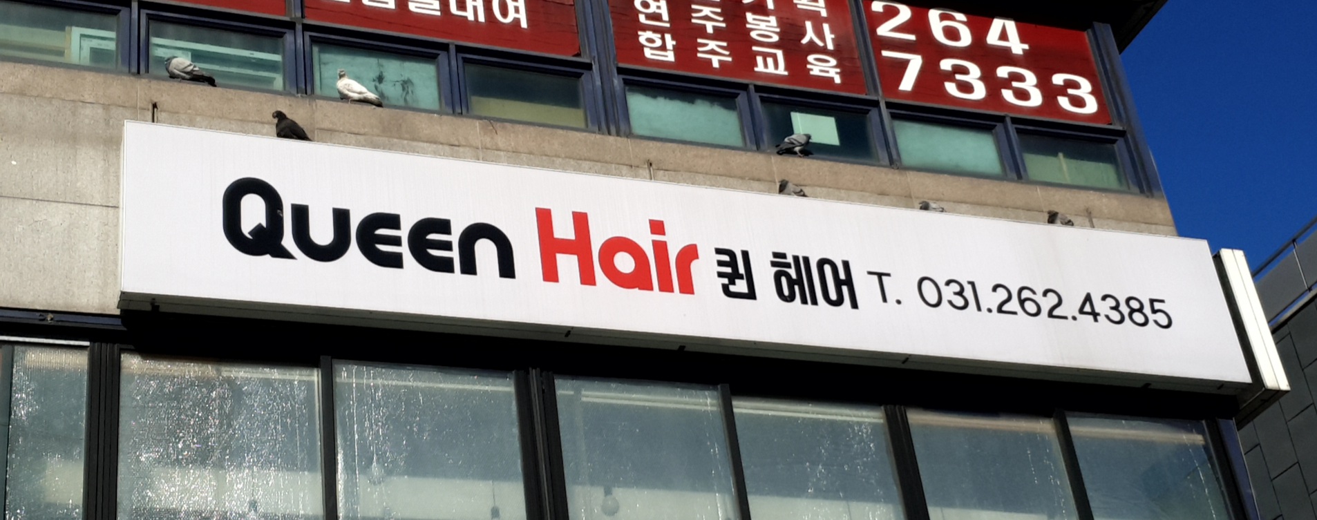 퀸헤어