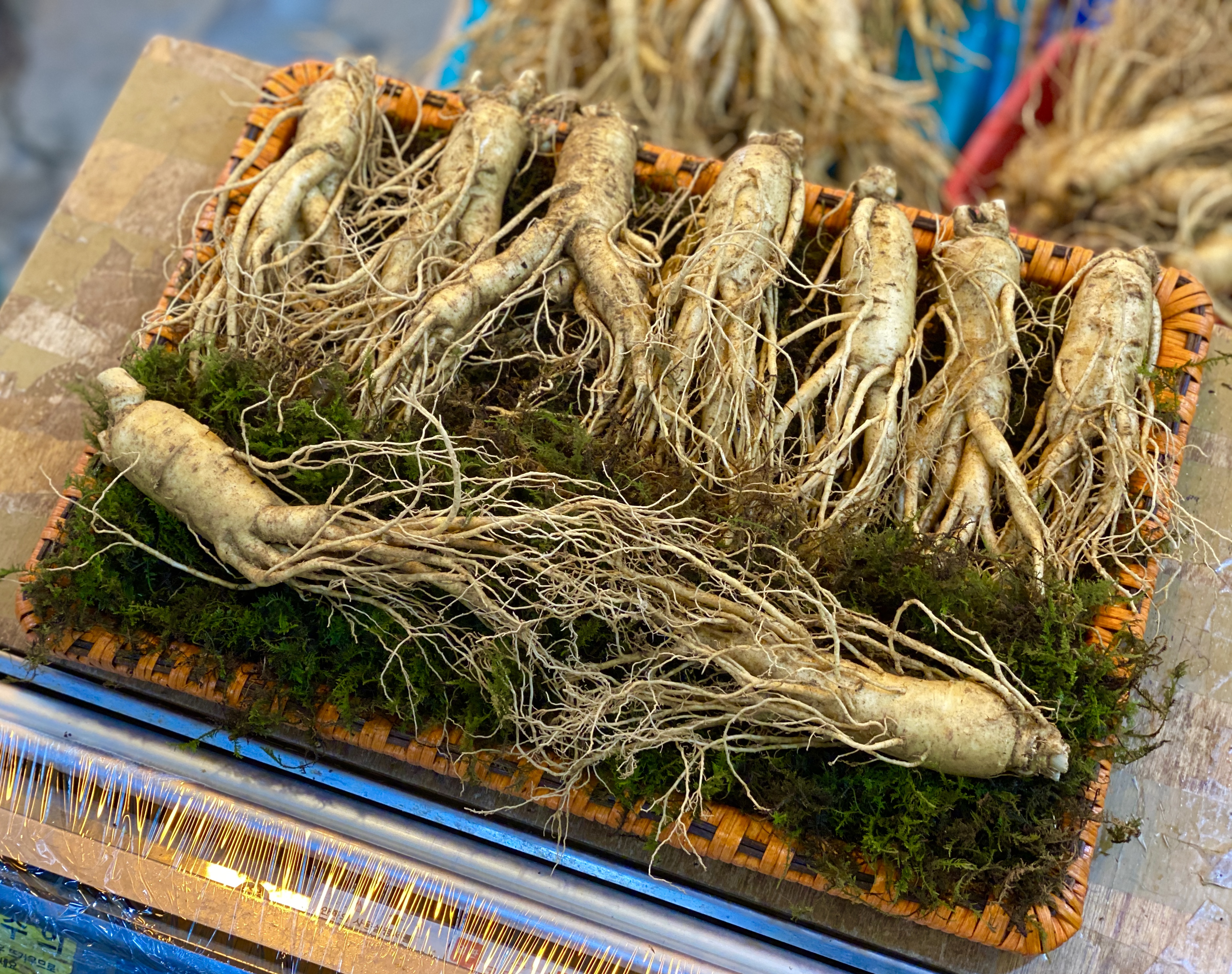 금산인삼