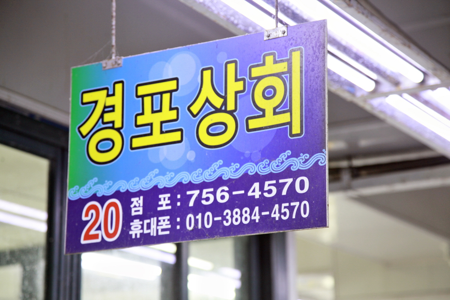 민락회센터 경포상회