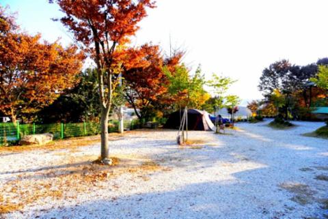캠핑장 사진