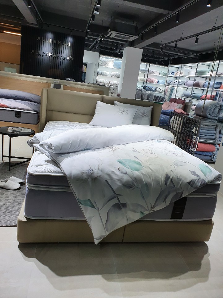 알레르망 스핑크스 군산점 대표 이미지