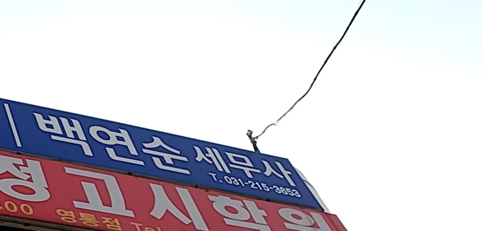 연일세무회계