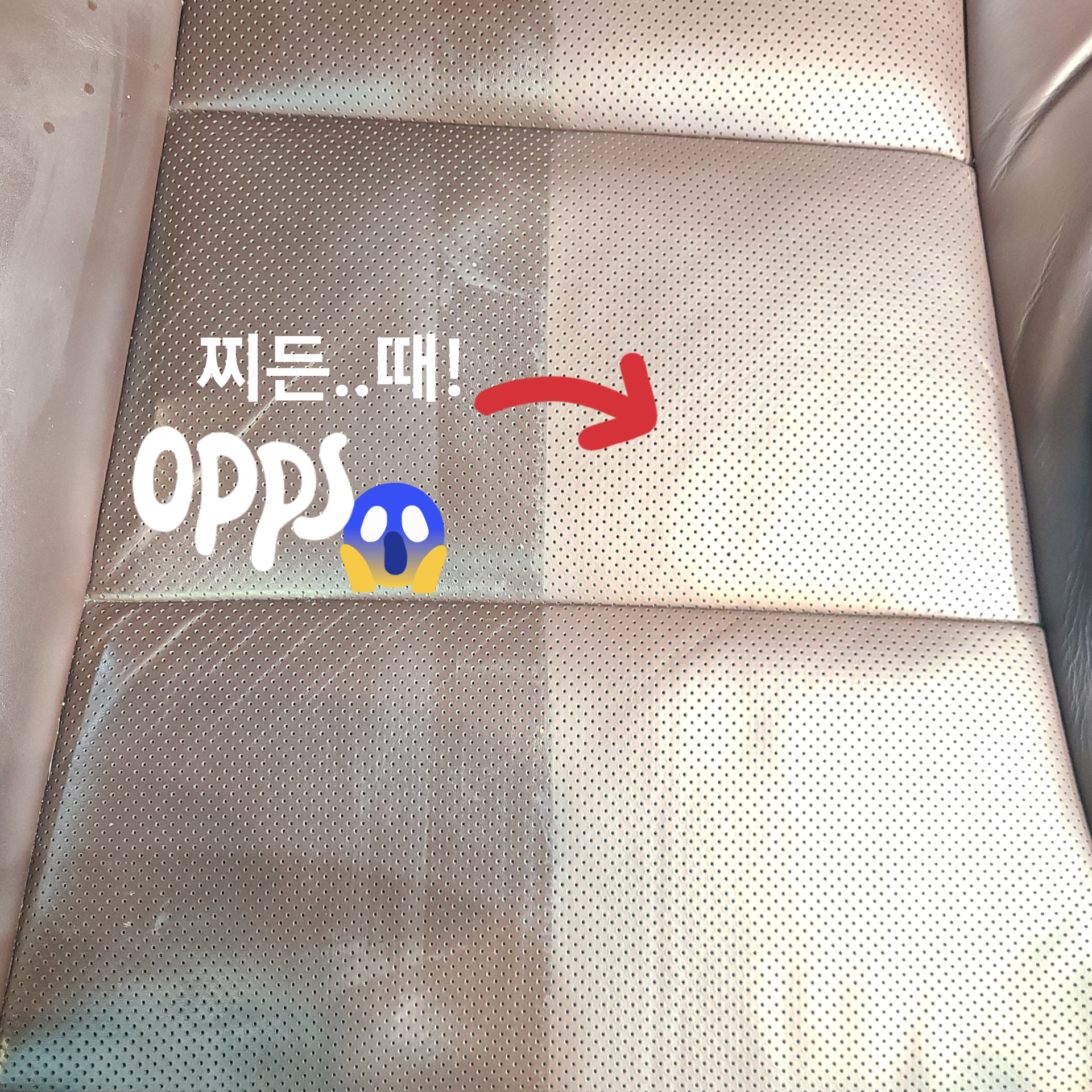 어뉴 카케어