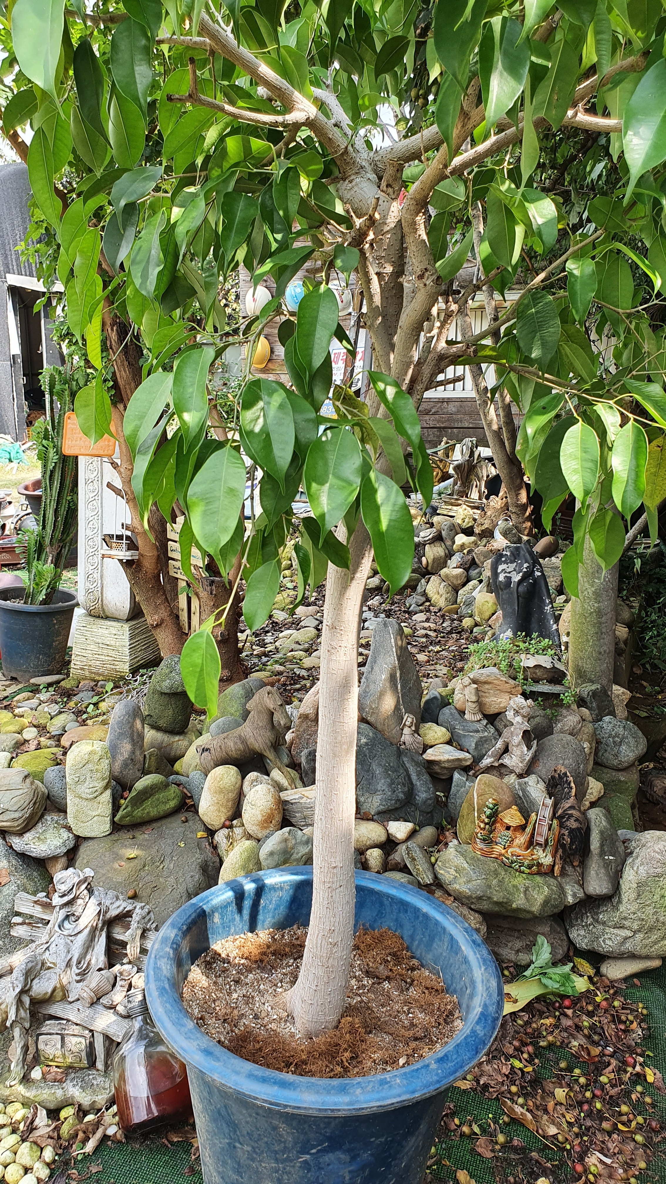 끝샘농원