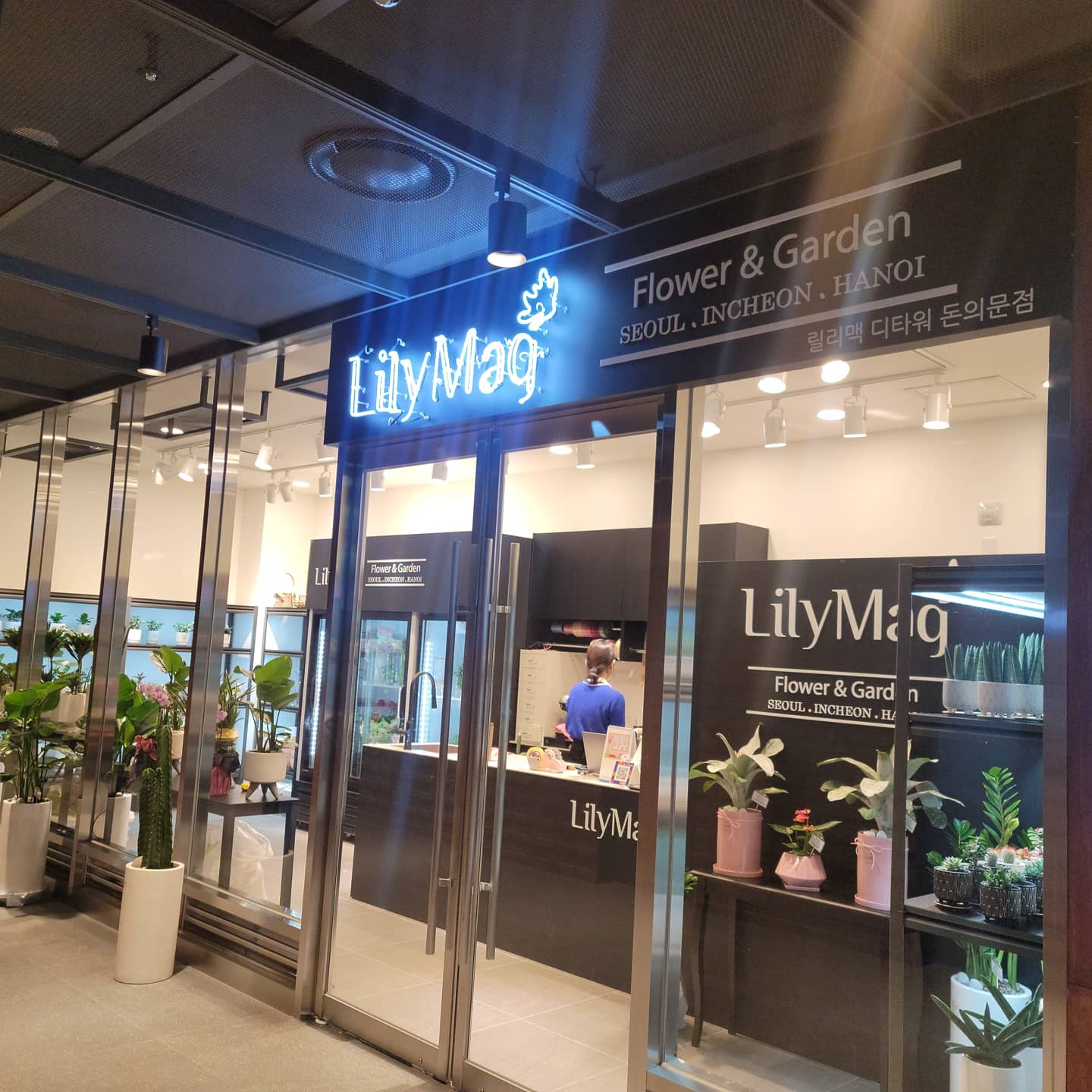 릴리맥 디타워돈의문점