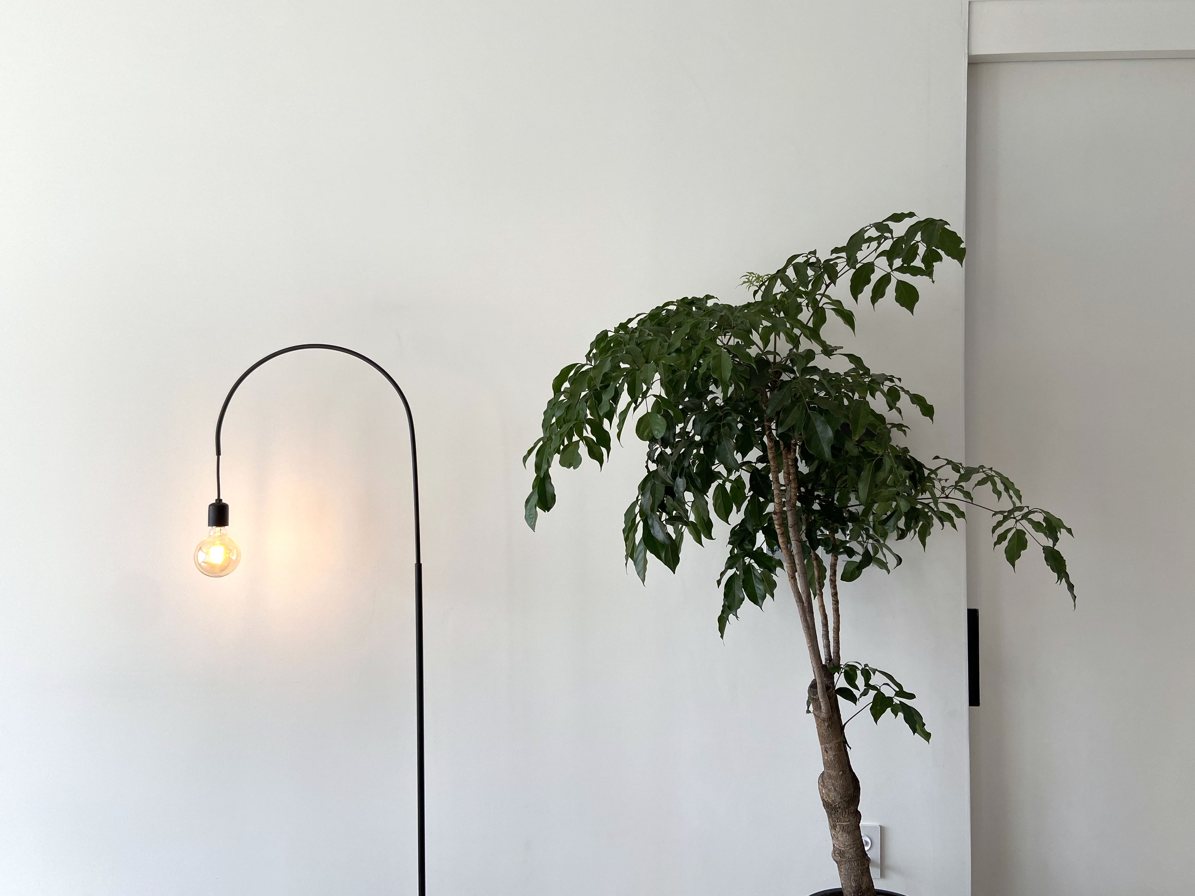 슈가마운트 스튜디오 대표 이미지