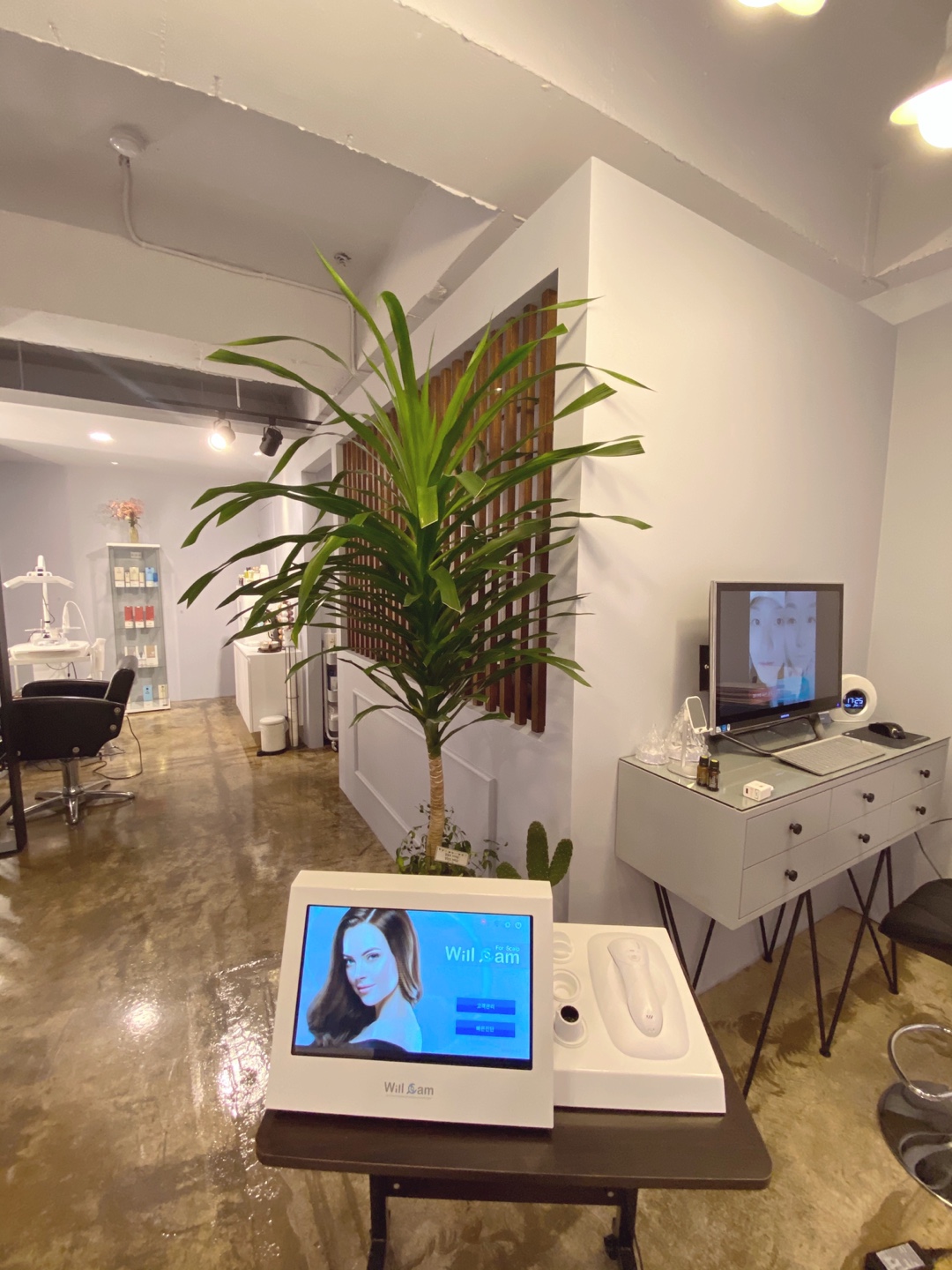 시엘드 스칼프 대표 이미지