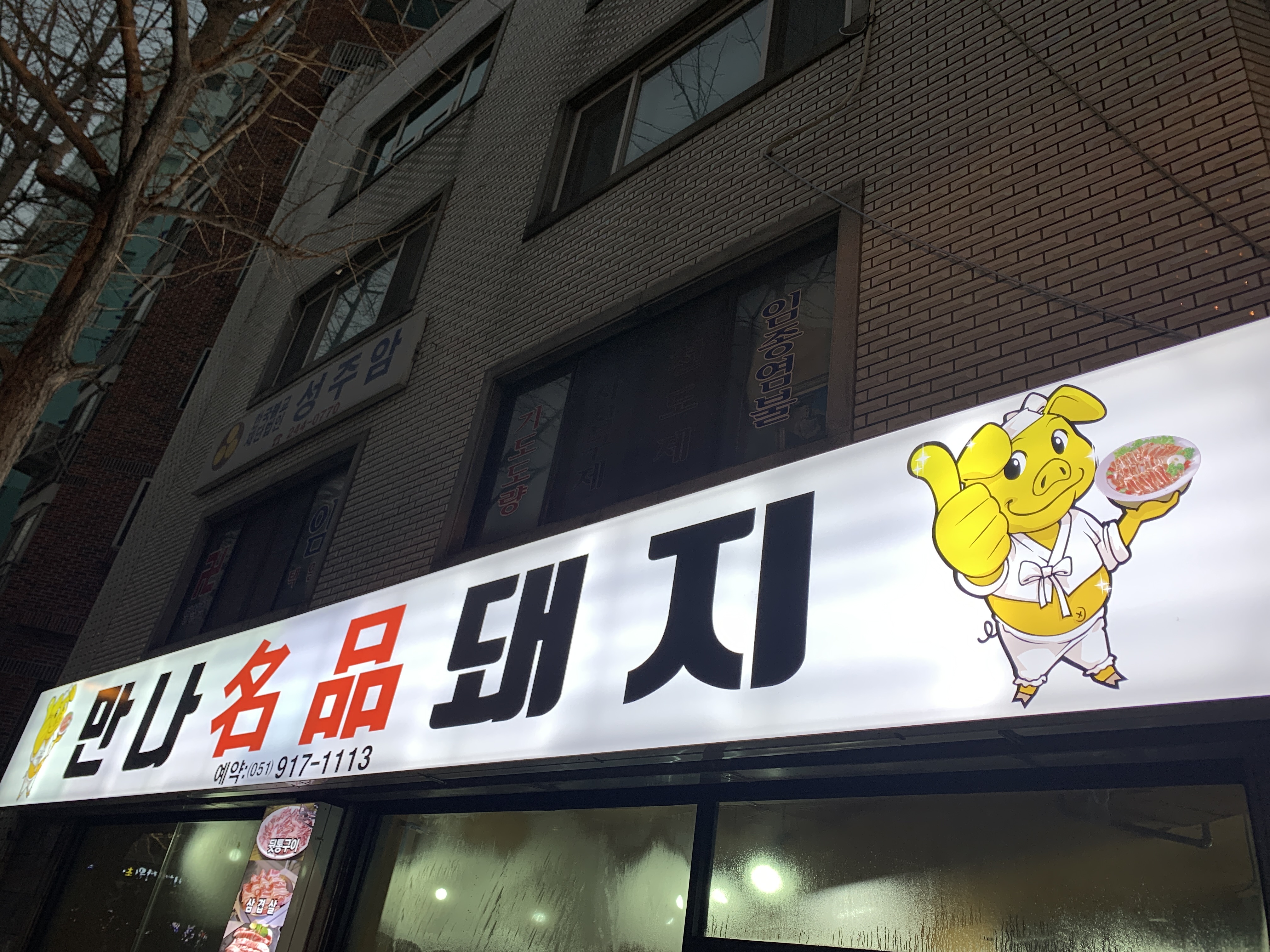 만나명품돼지