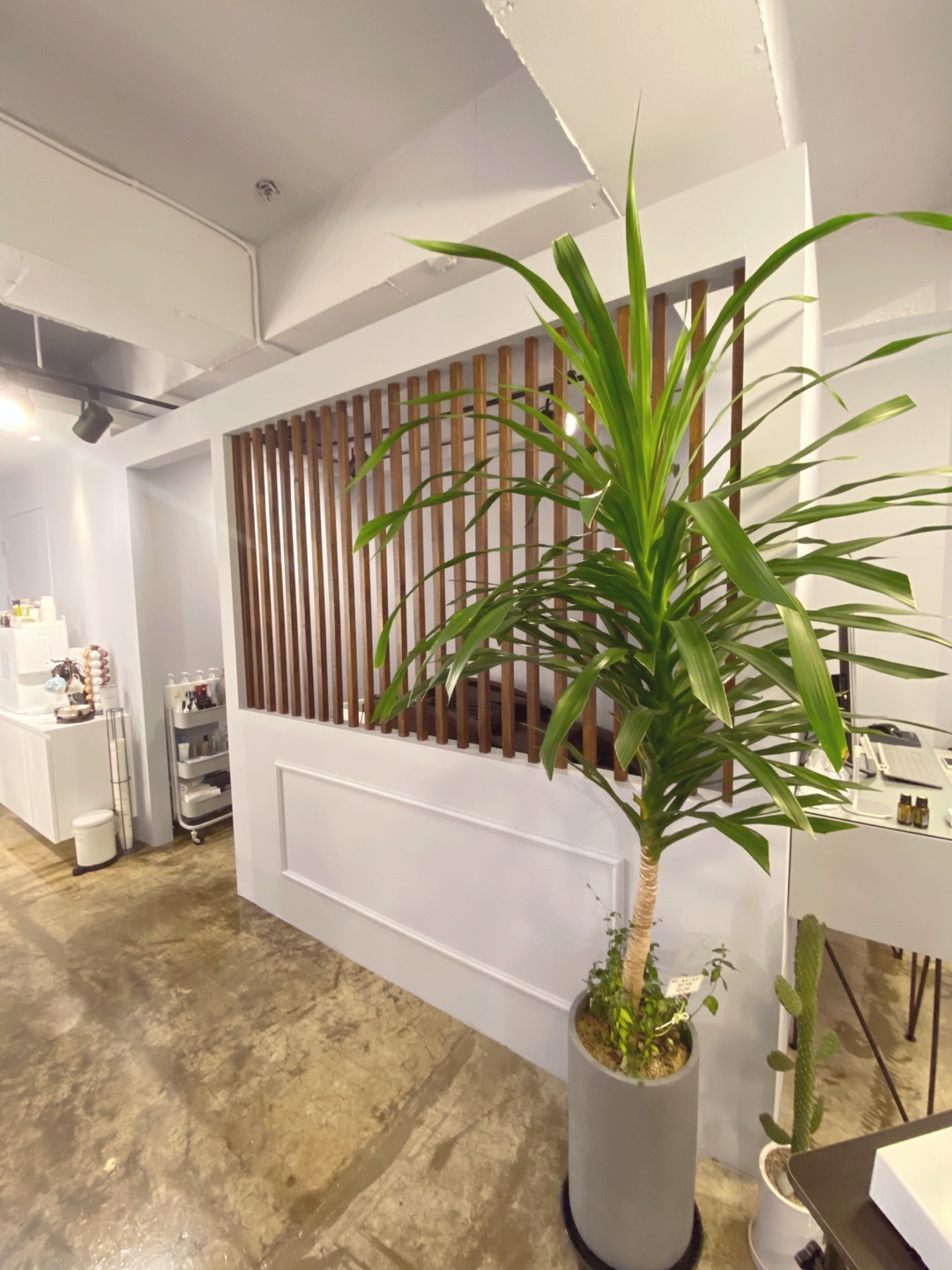 시엘드 스칼프 대표 이미지