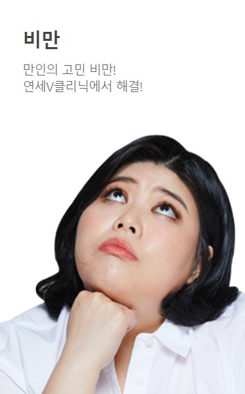브이