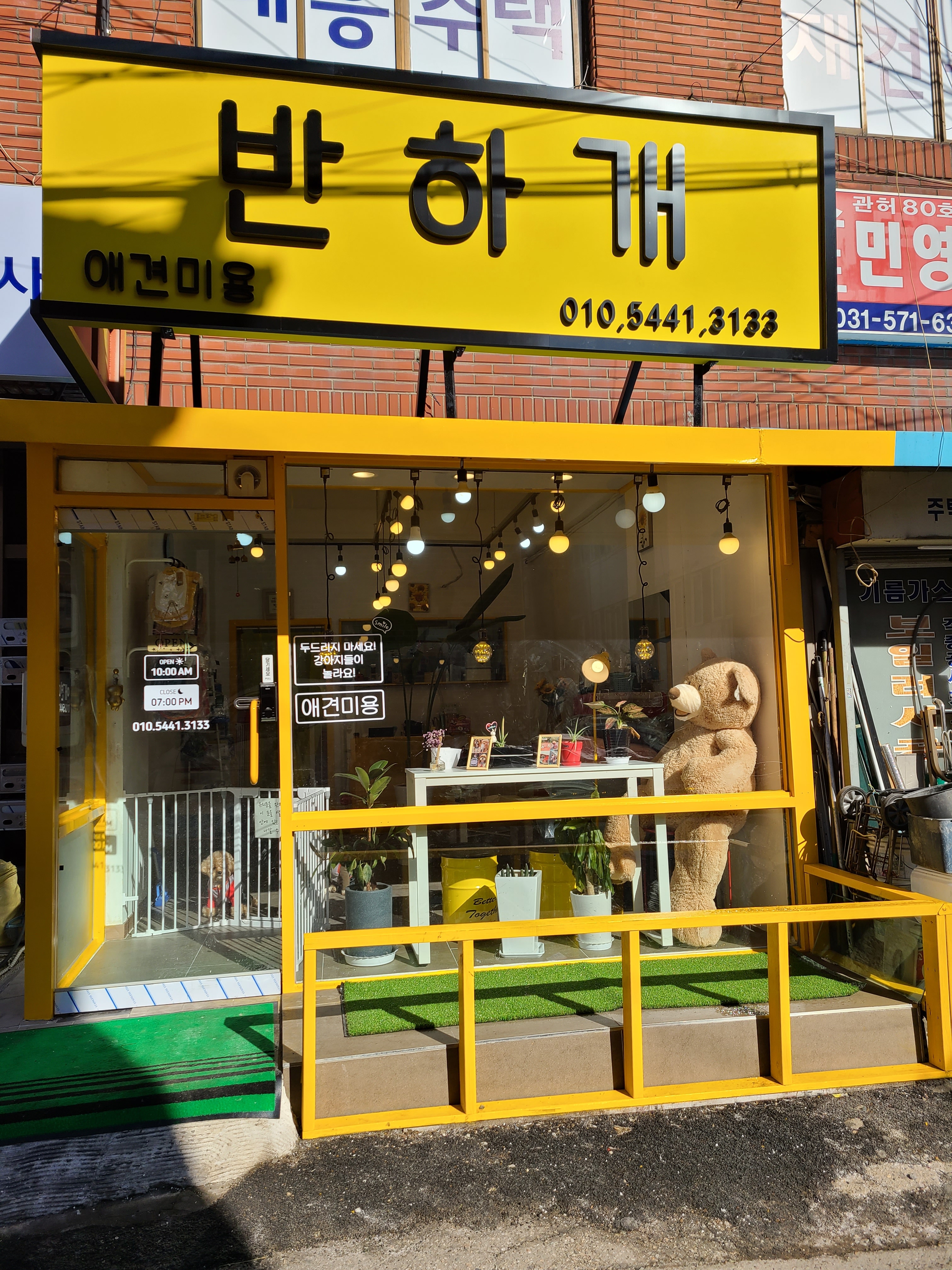 반하개 대표 이미지