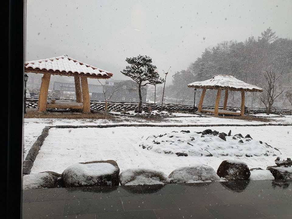 소소향