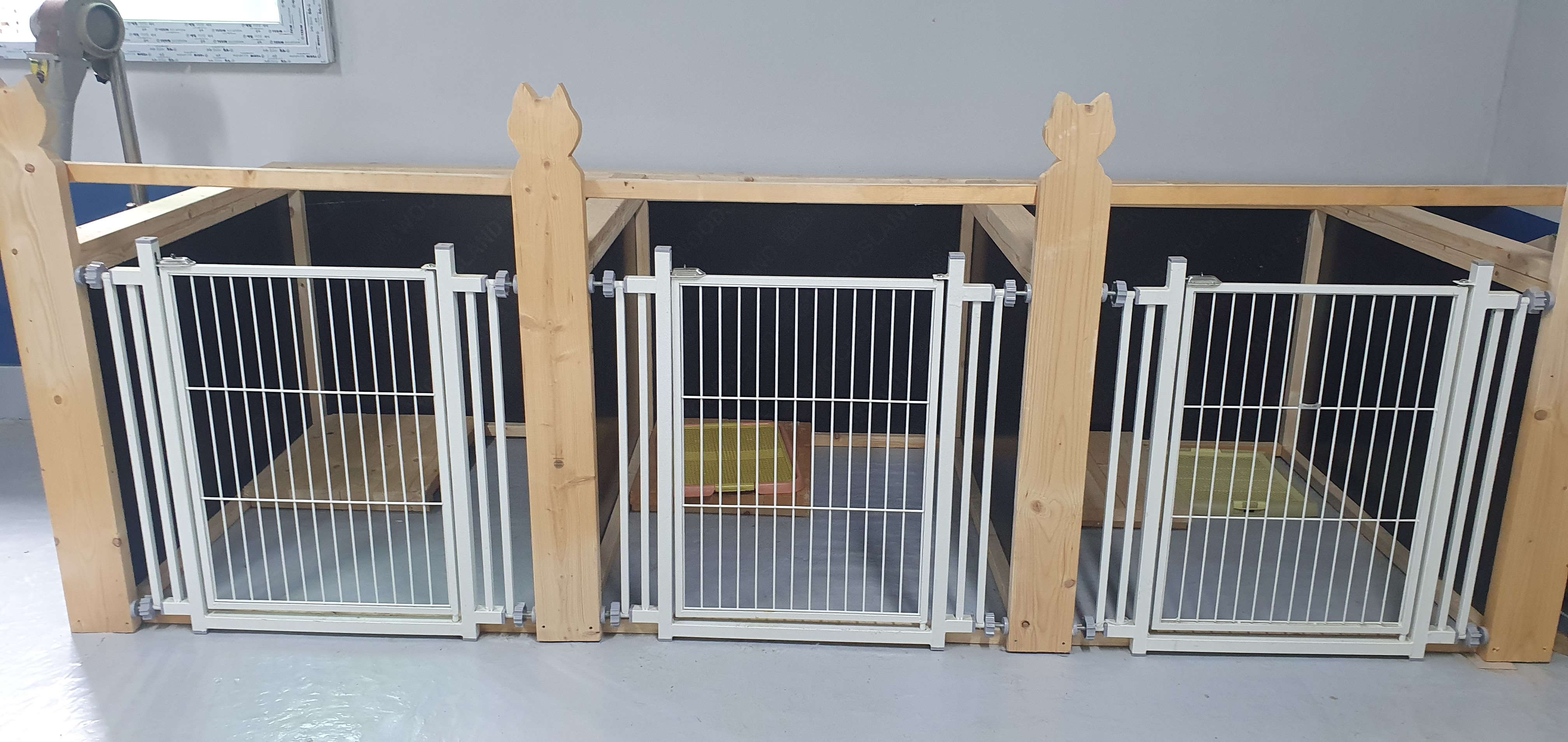 탤런트 독 스쿨 대표 이미지