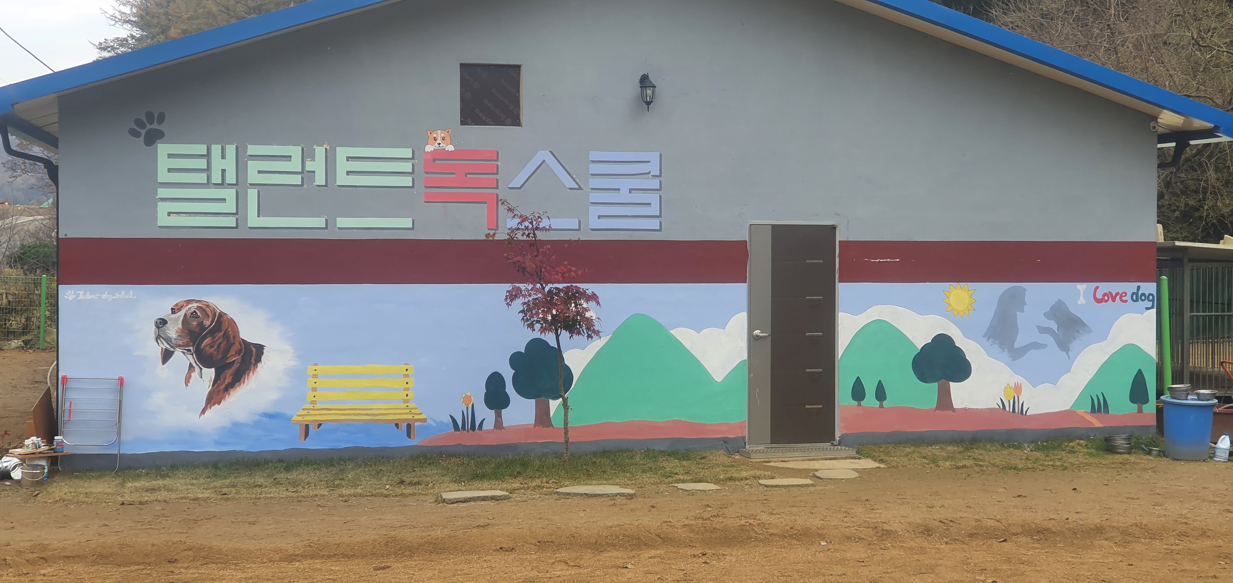 탤런트 독 스쿨 대표 이미지