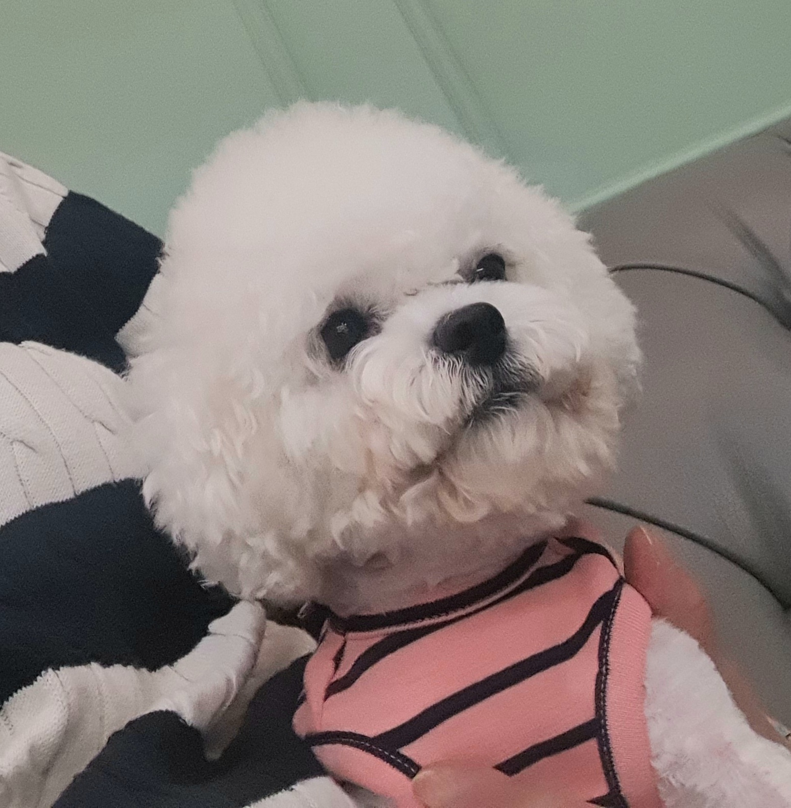 이미지
