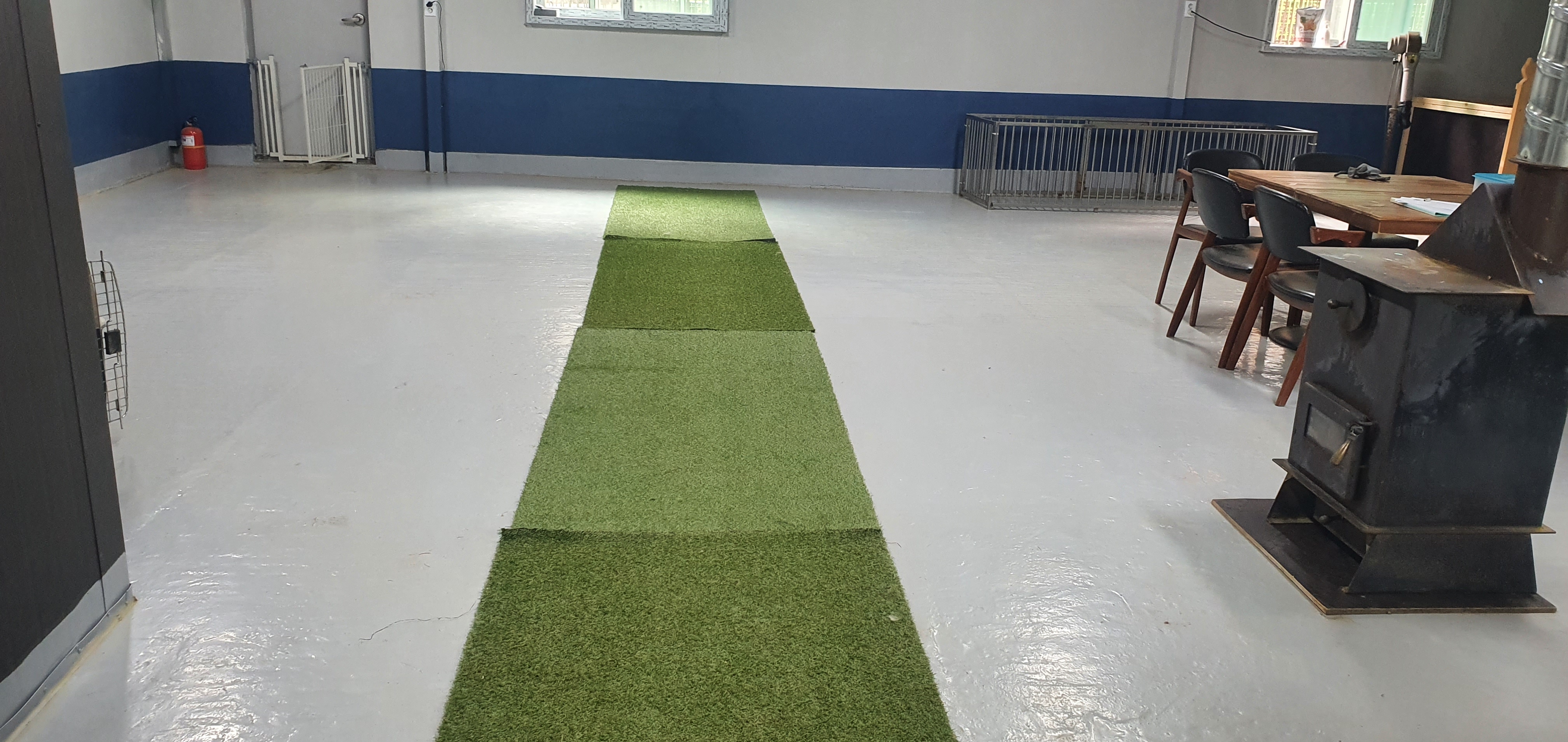 탤런트 독 스쿨 대표 이미지