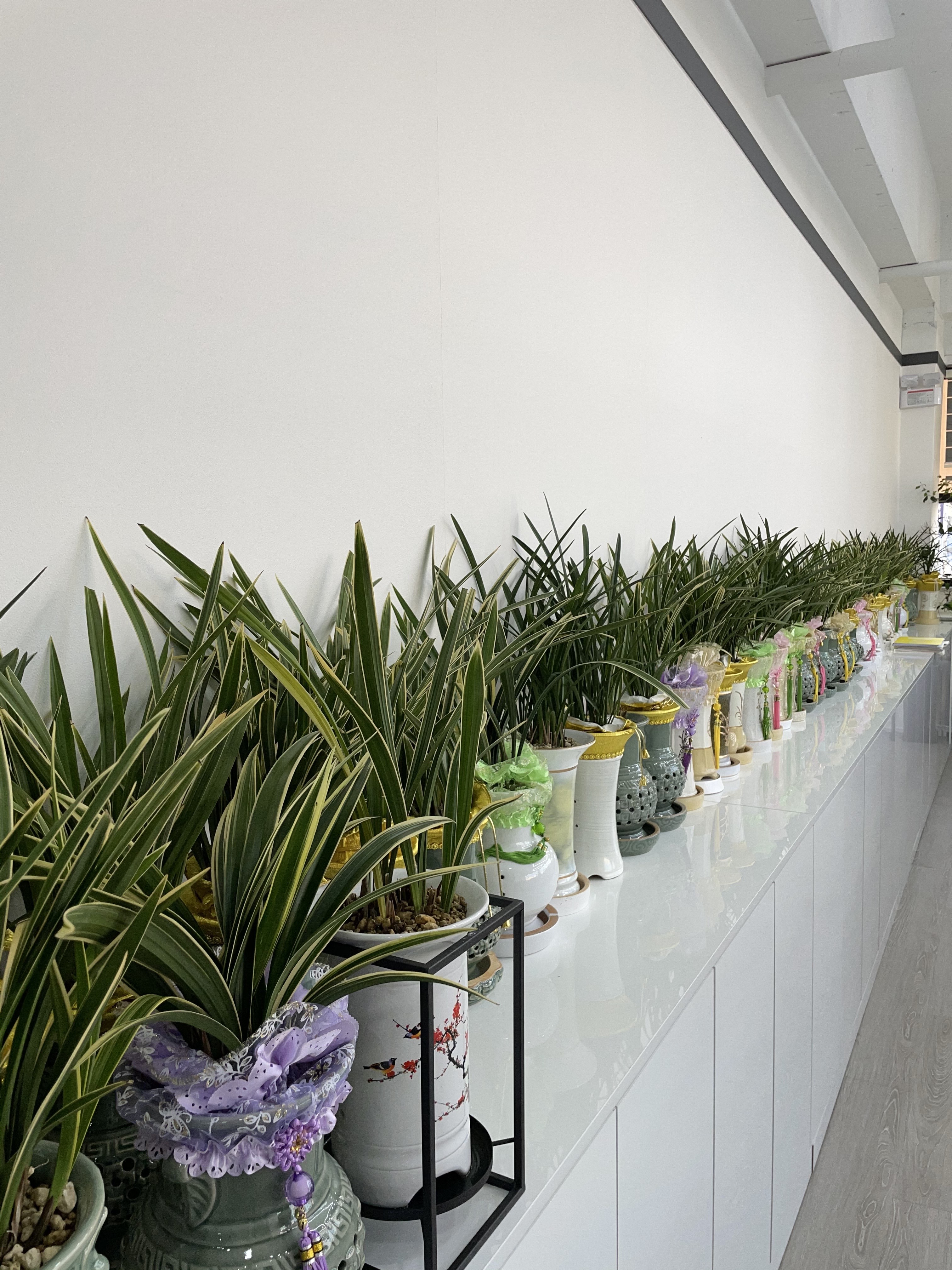 조만식세무회계사무소 대표 이미지