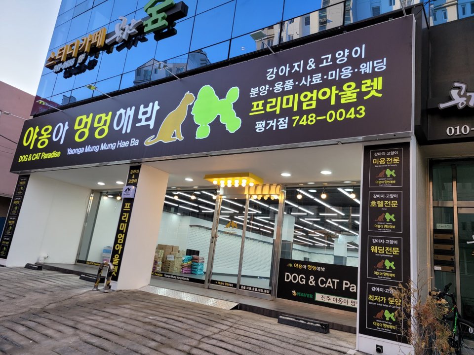 야옹아멍멍해봐 평거점