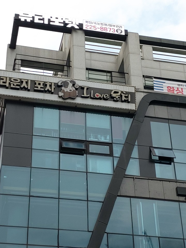 전주왁싱 뷰티포렛 제모 브라질리언왁싱 눈썹 패디플래닝