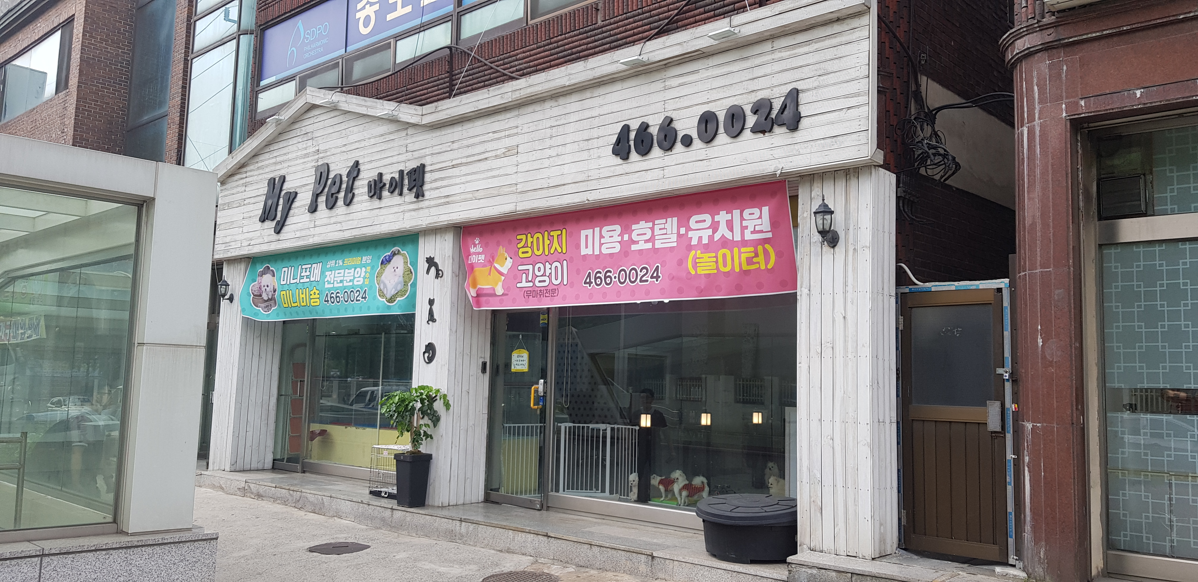 이미지