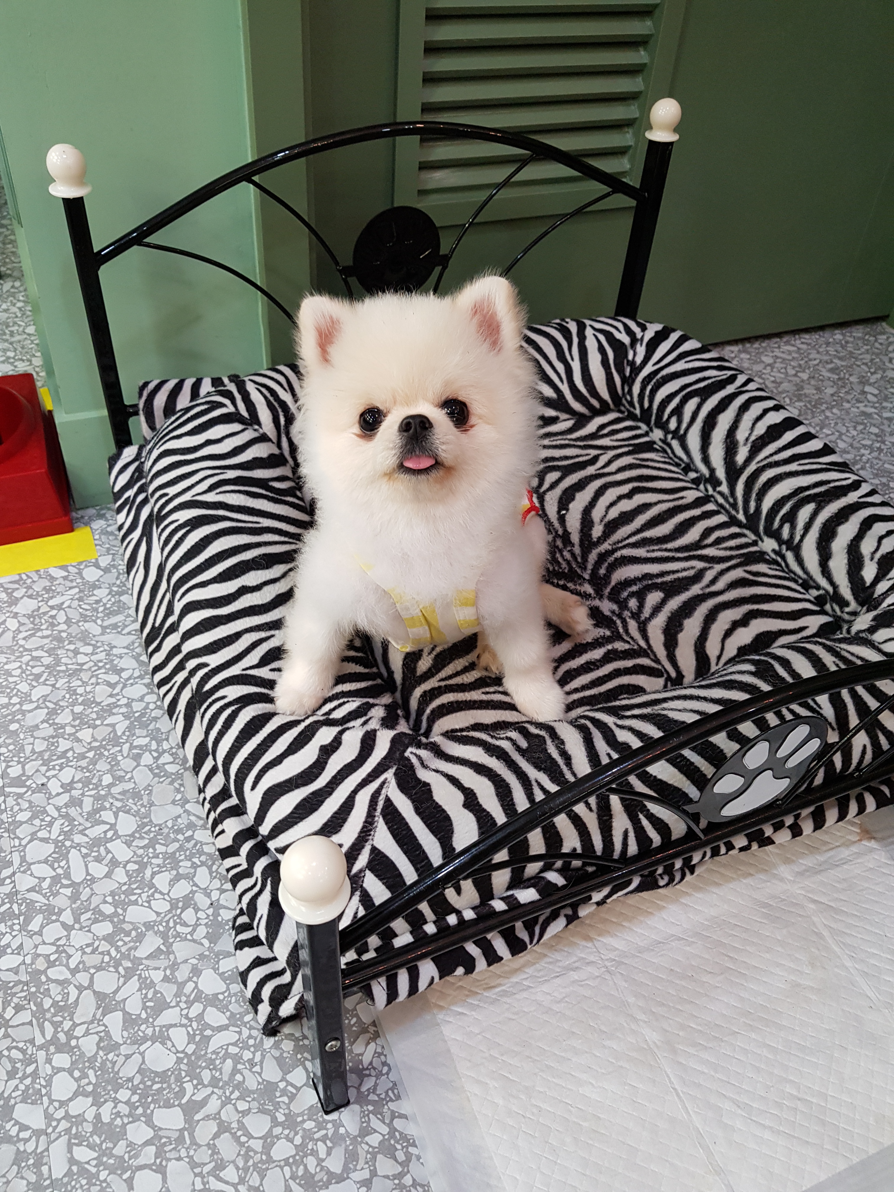 이미지