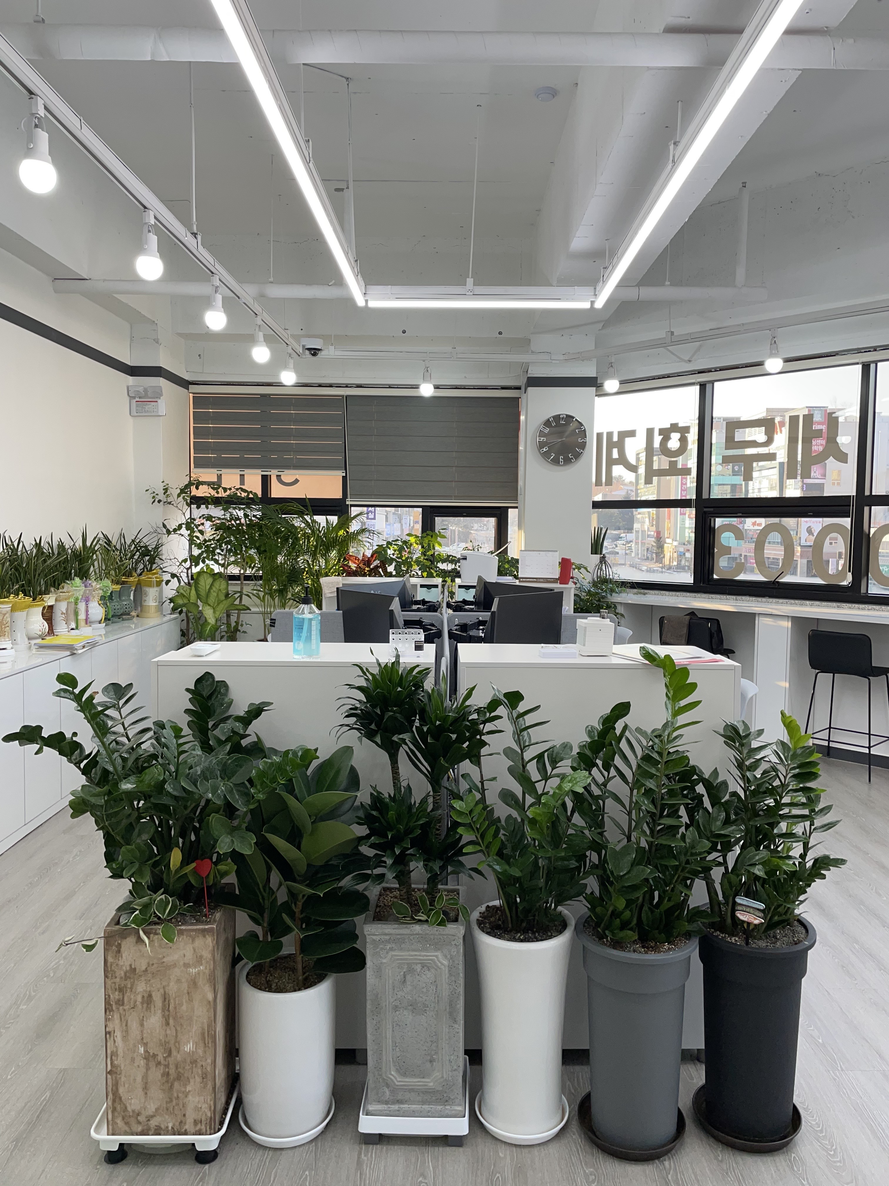 조만식세무회계사무소 대표 이미지