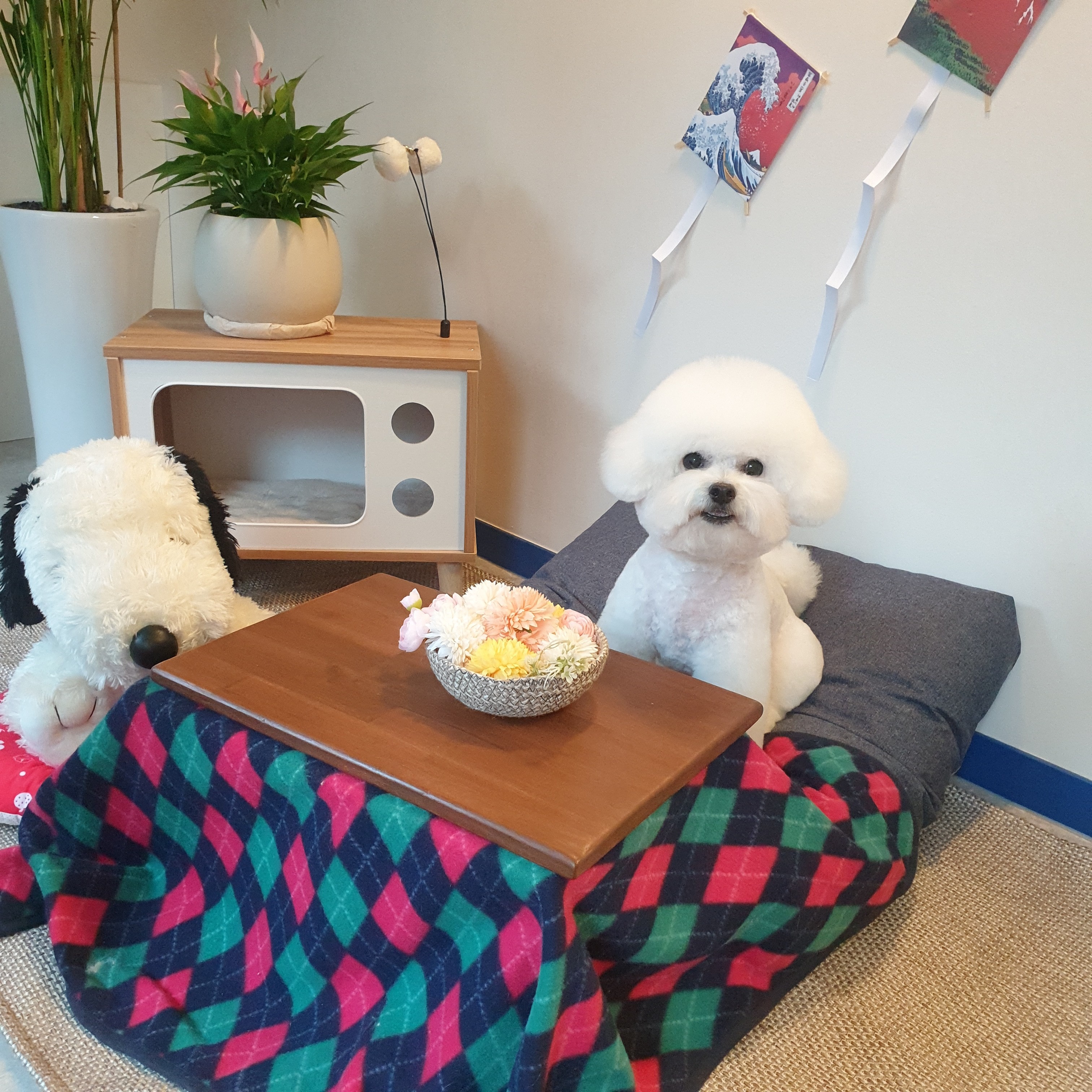 라벨라모프 대표 이미지