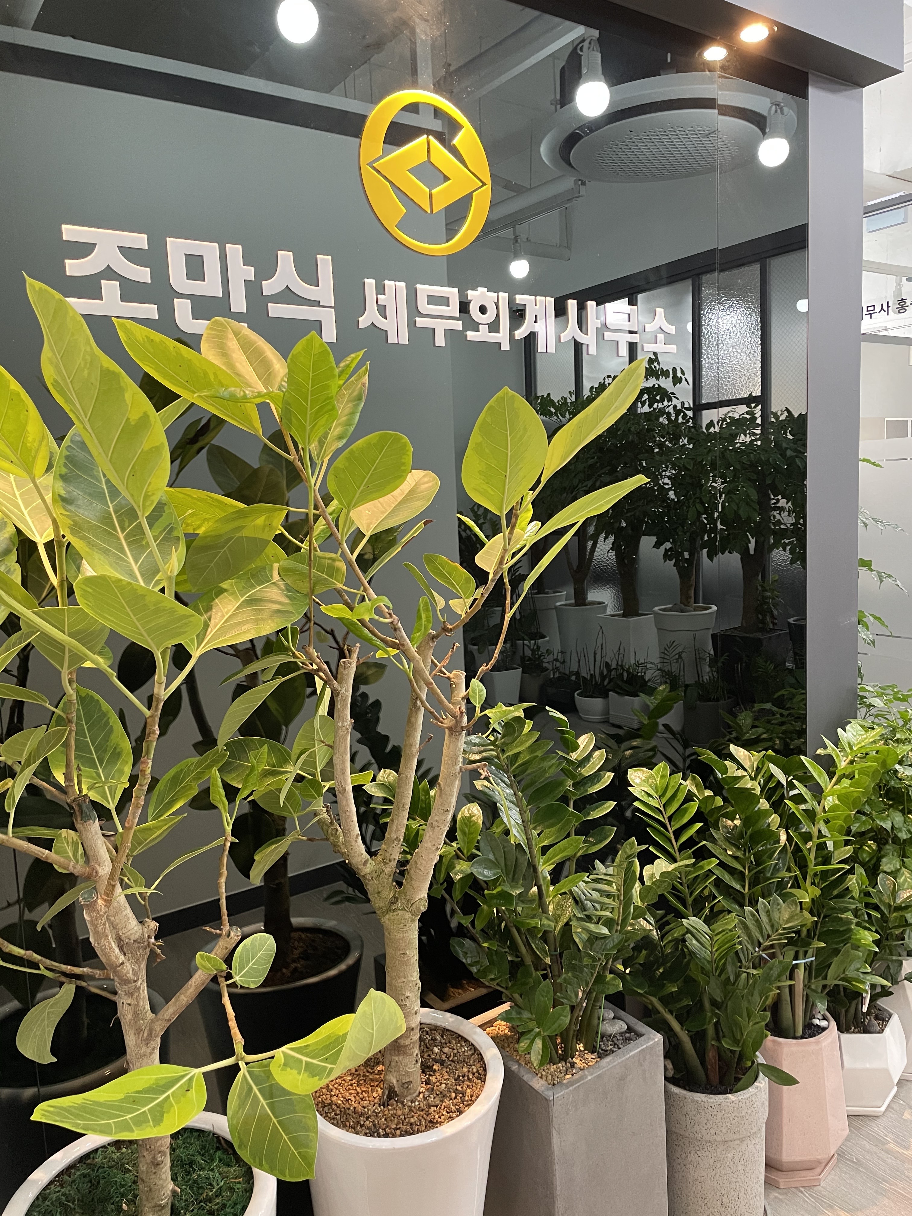 조만식세무회계사무소 대표 이미지