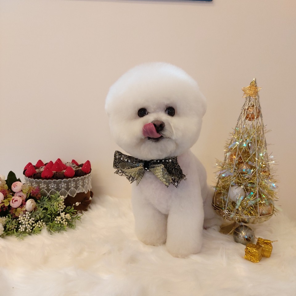 라벨라모프 대표 이미지
