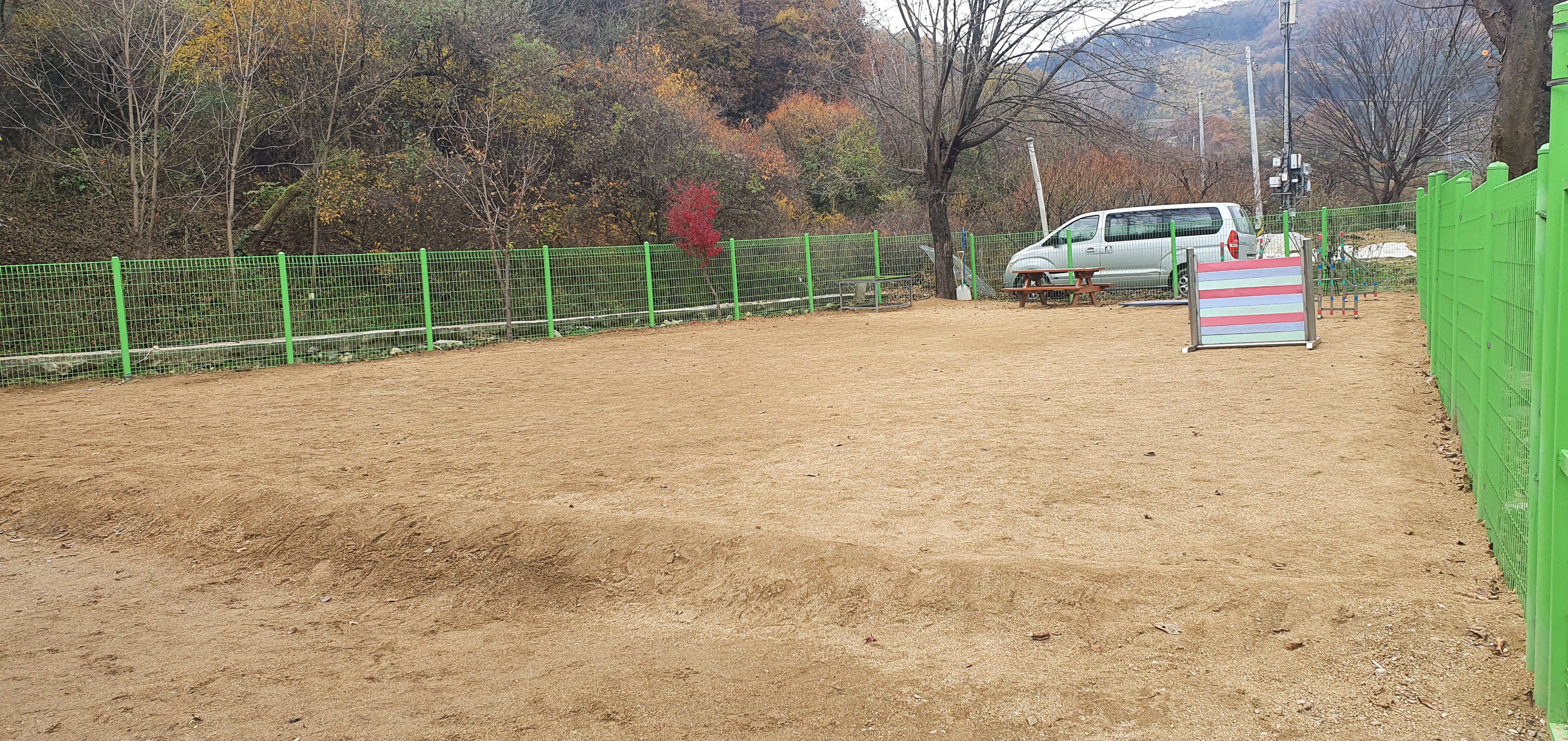 탤런트 독 스쿨 대표 이미지