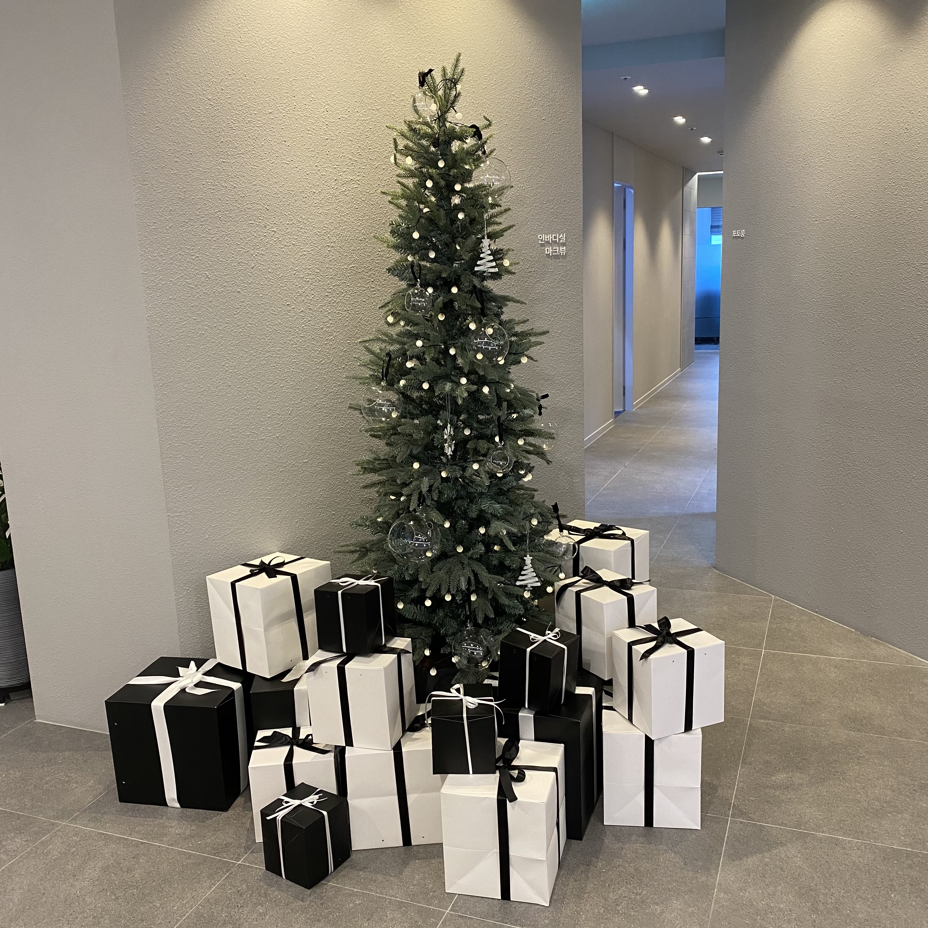 미하이의원 광주 대표 이미지