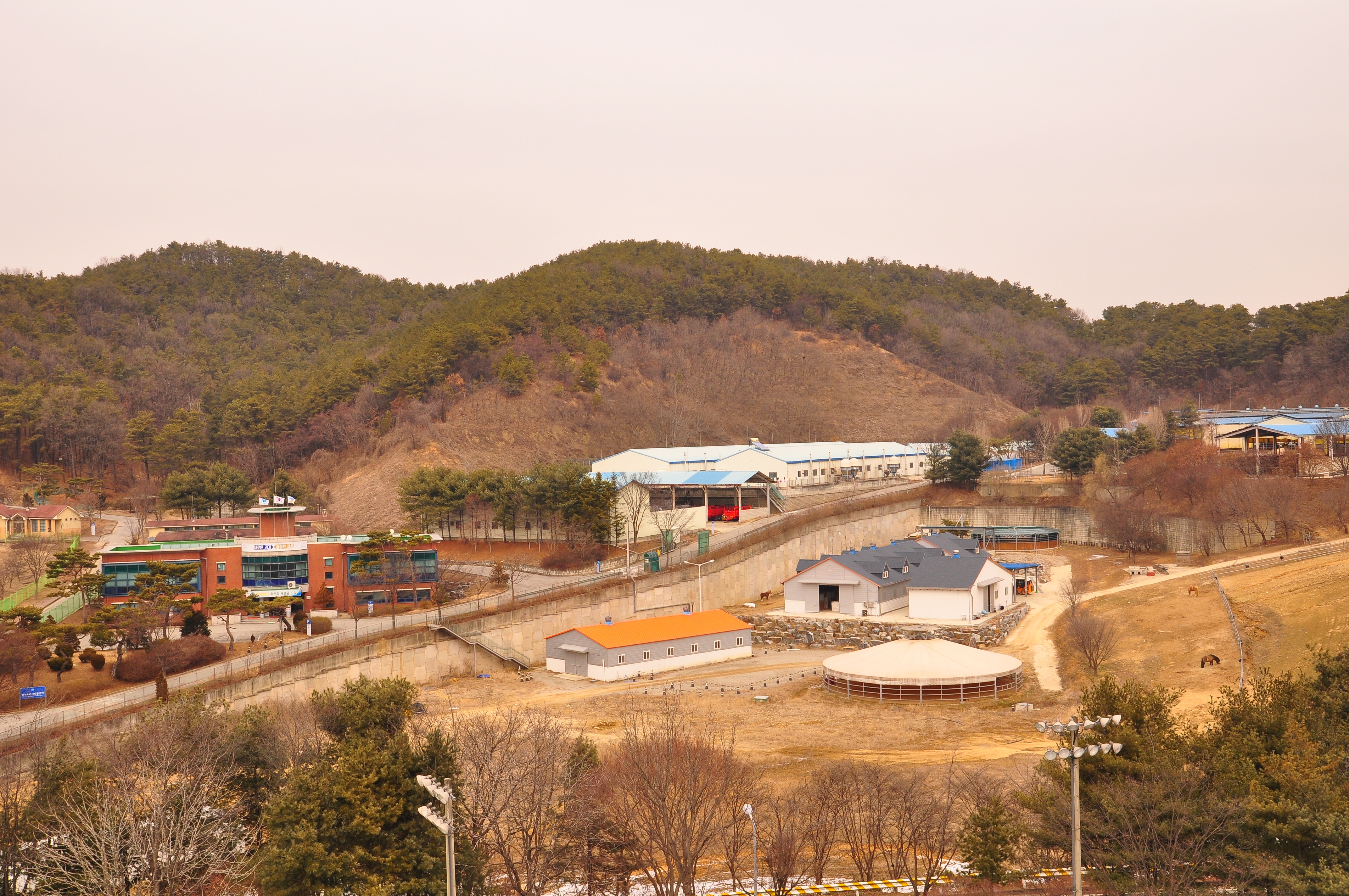 경기도축산진흥센터
