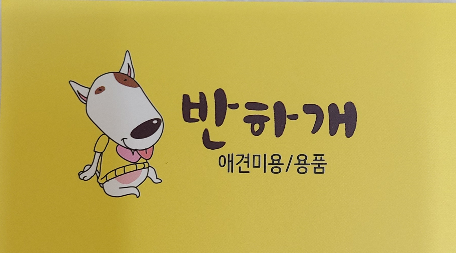 반하개 대표 이미지