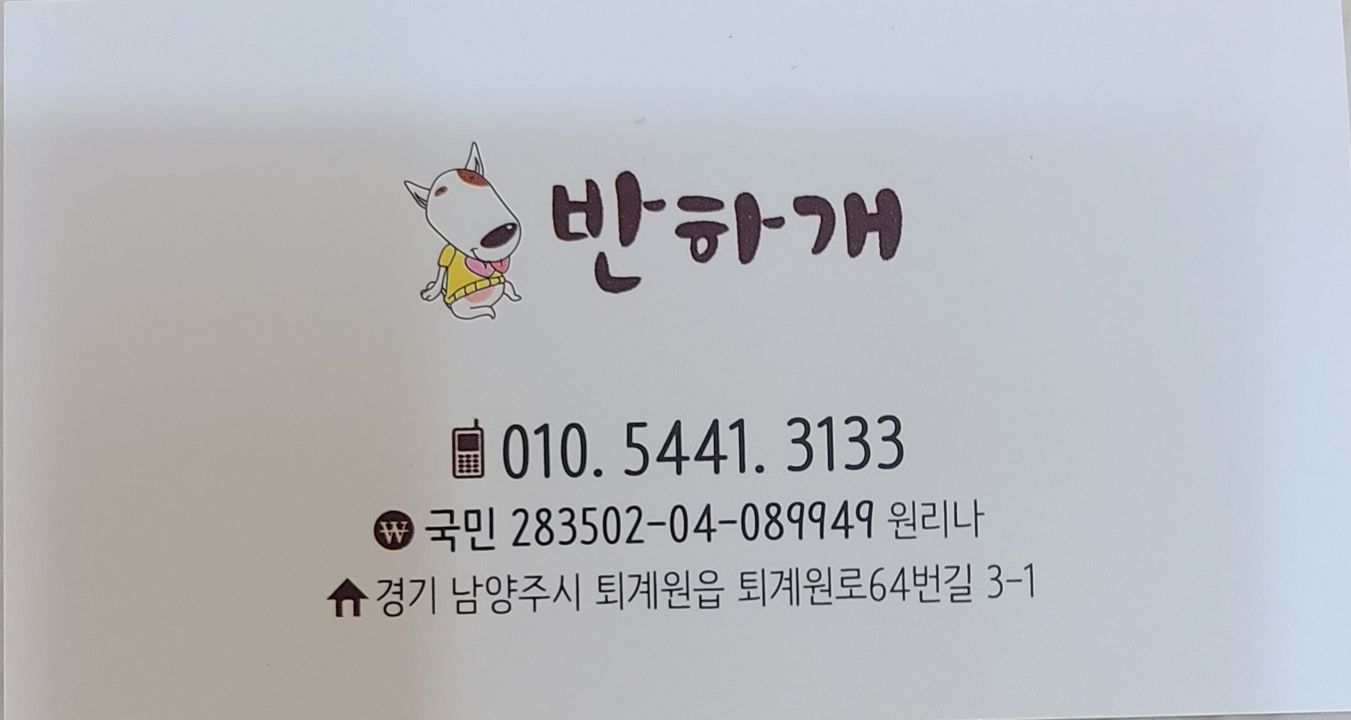 반하개 대표 이미지