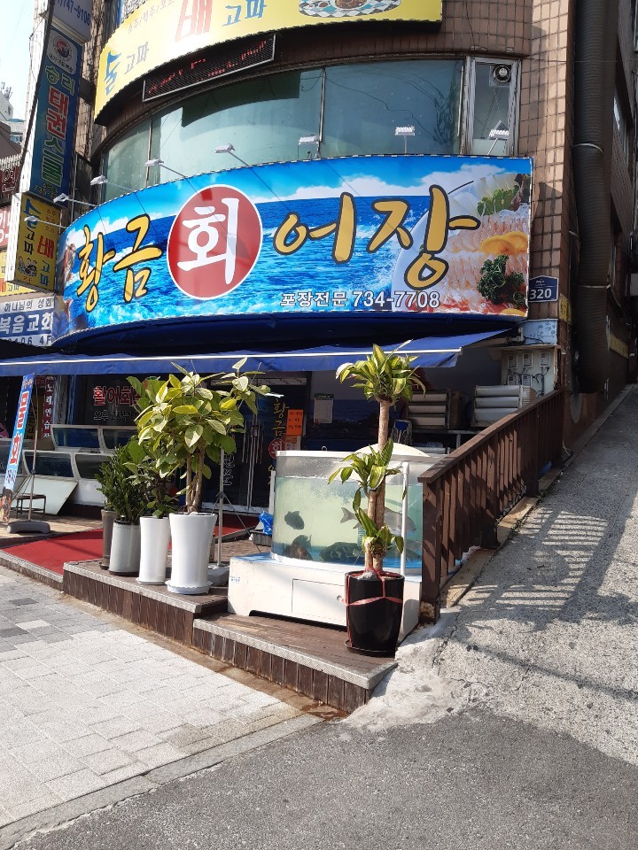 황금어장