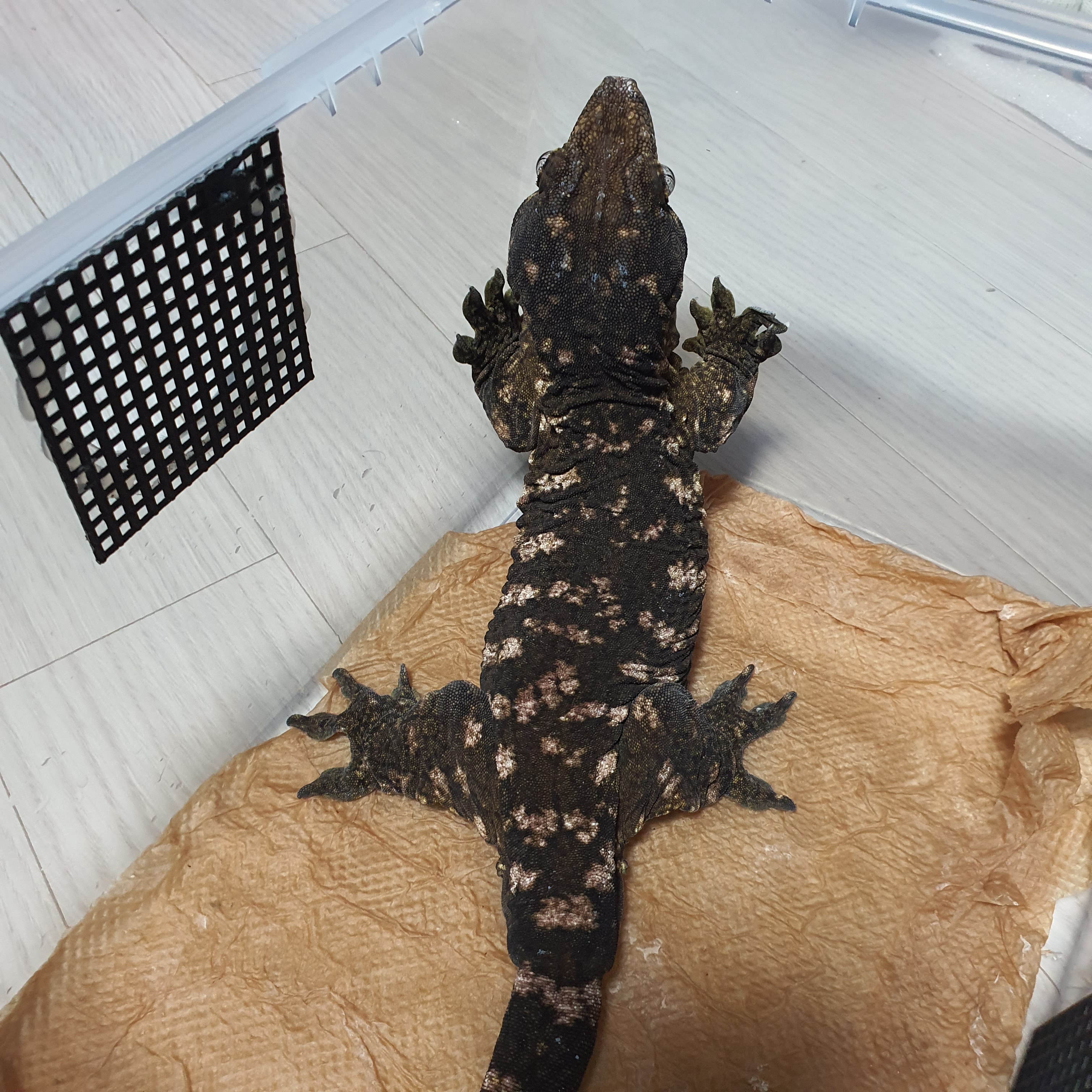 웨일컴퍼니 대표 이미지