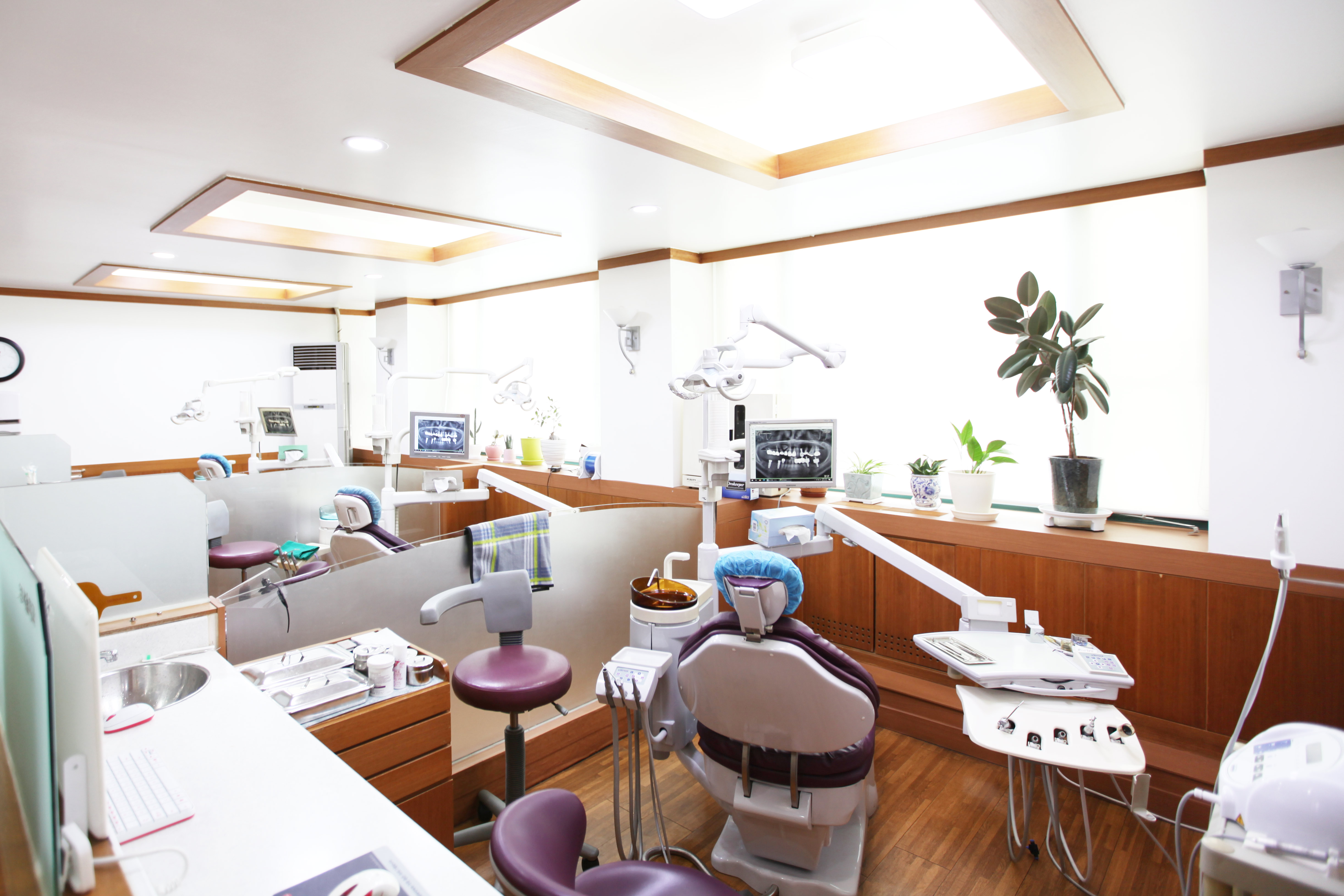 드림서울치과의원 대표 이미지