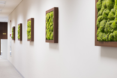 법무법인 클라스한결 대표 이미지