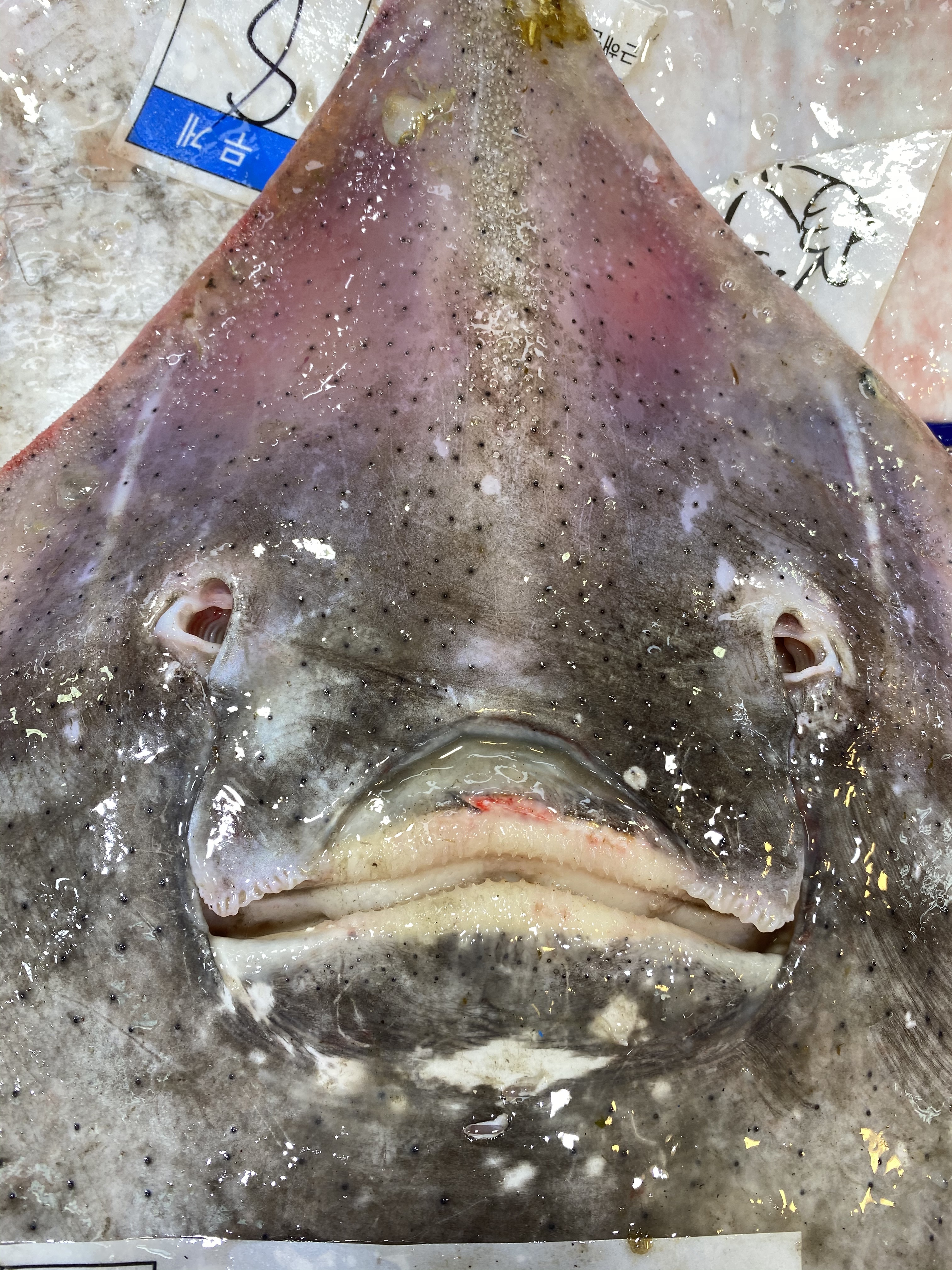 중앙수산