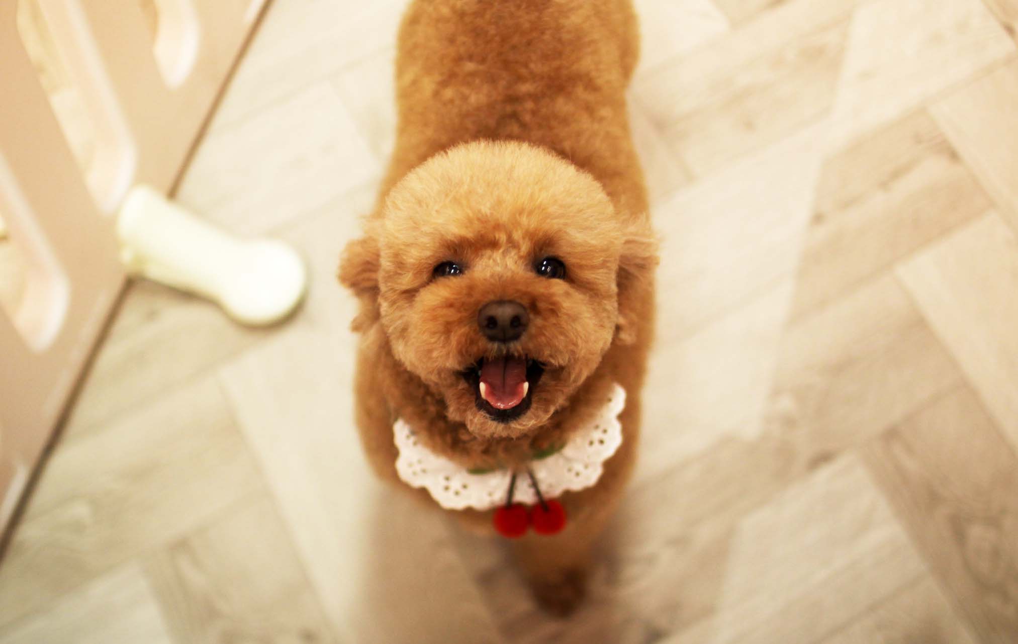 몽앤츄 대표 이미지