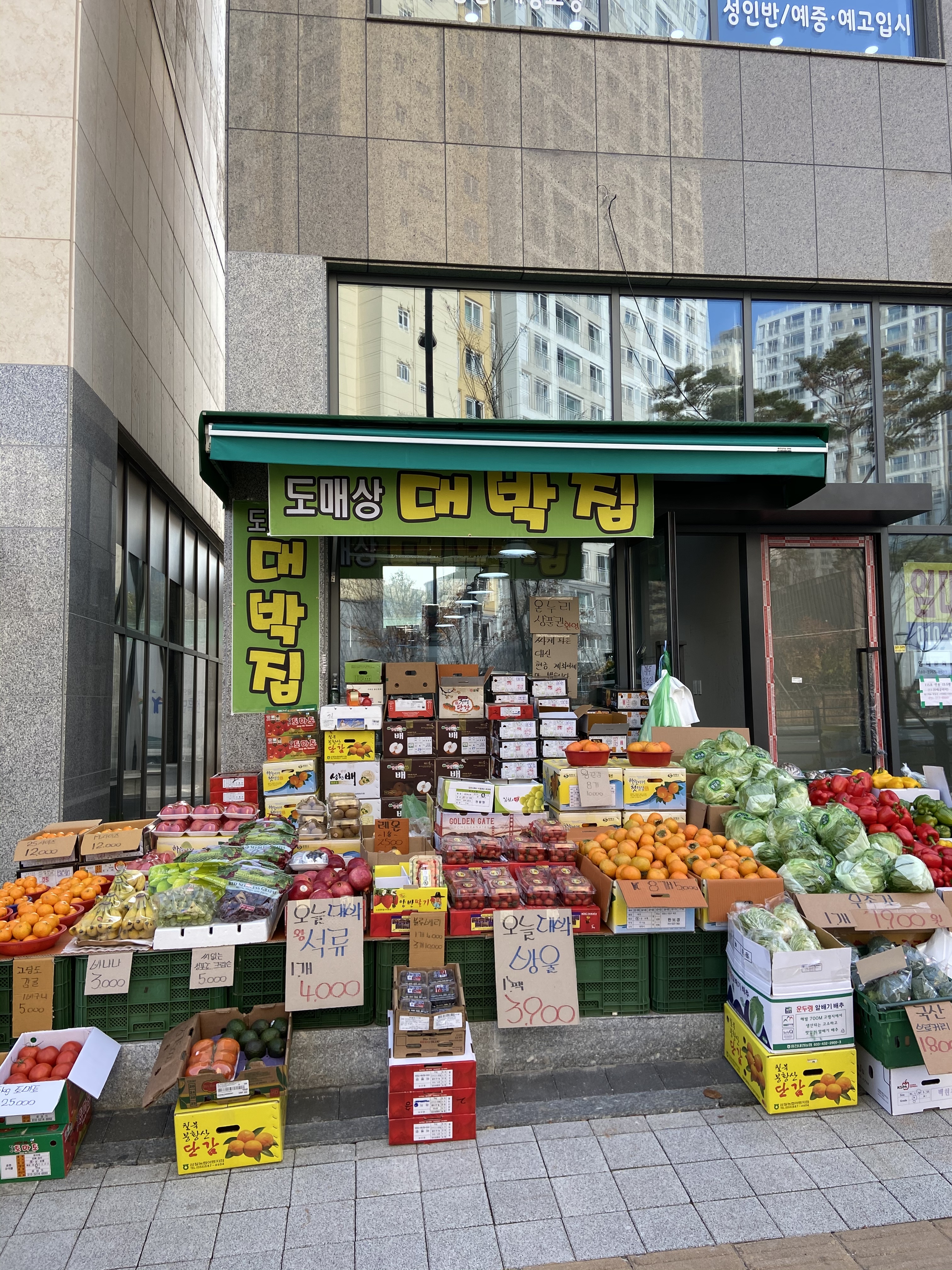 도매상대박집