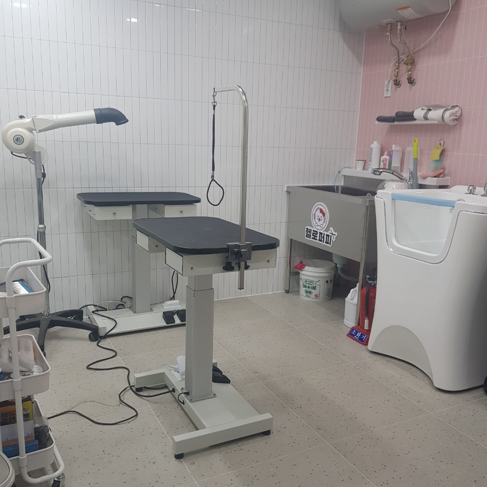 헬로퍼피애견미용샵 대표 이미지