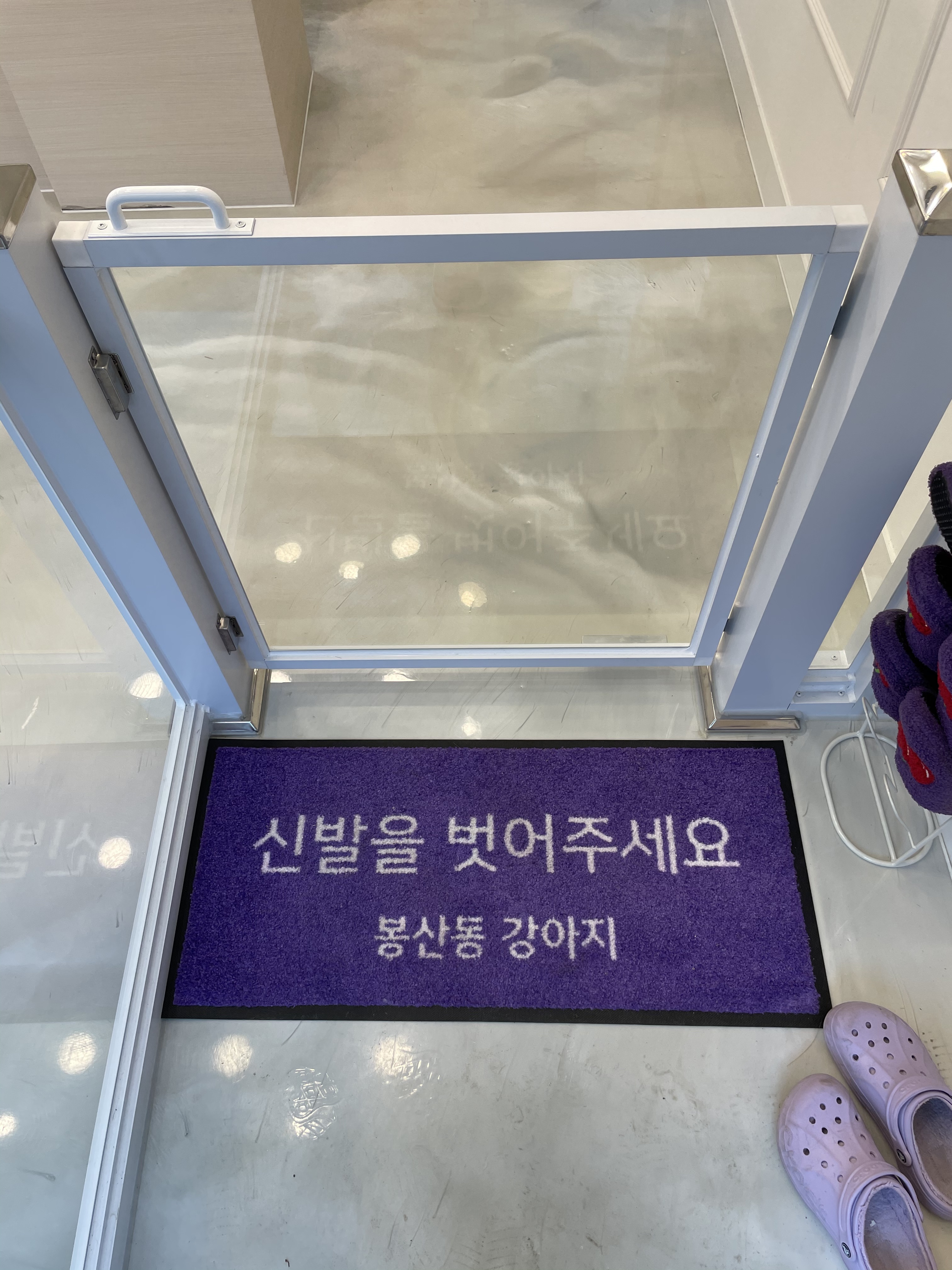 봉산동강아지 대표 이미지