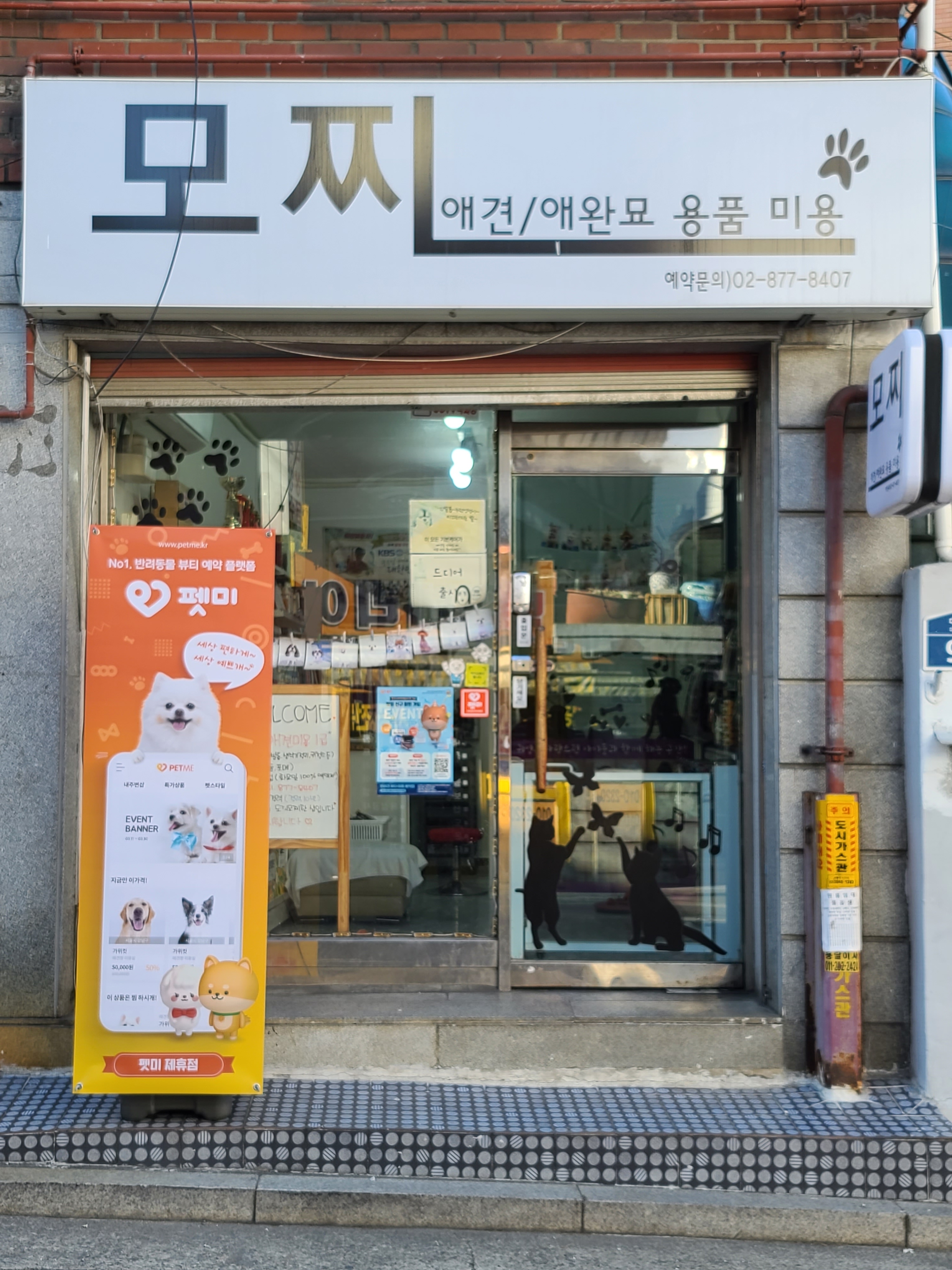 모찌반려견미용실