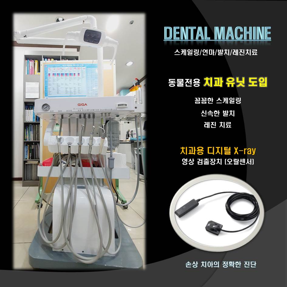 24시팔용feel동물병원 대표 이미지